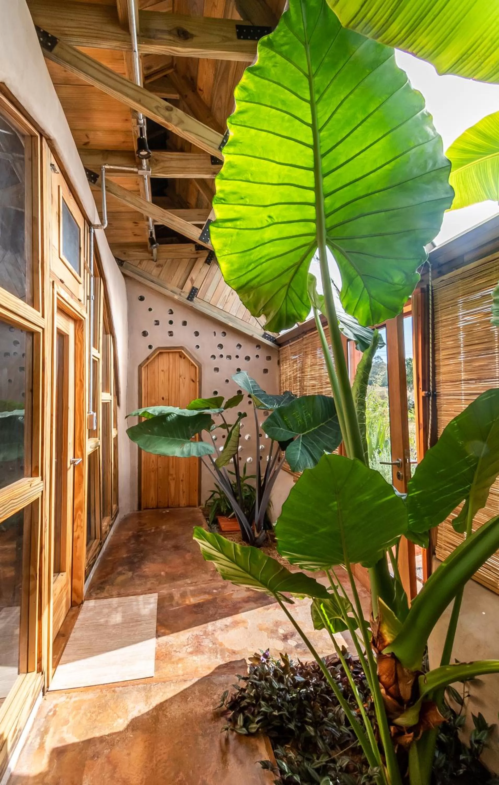 Inner courtyard view in Caliu Earthship Ecolodge