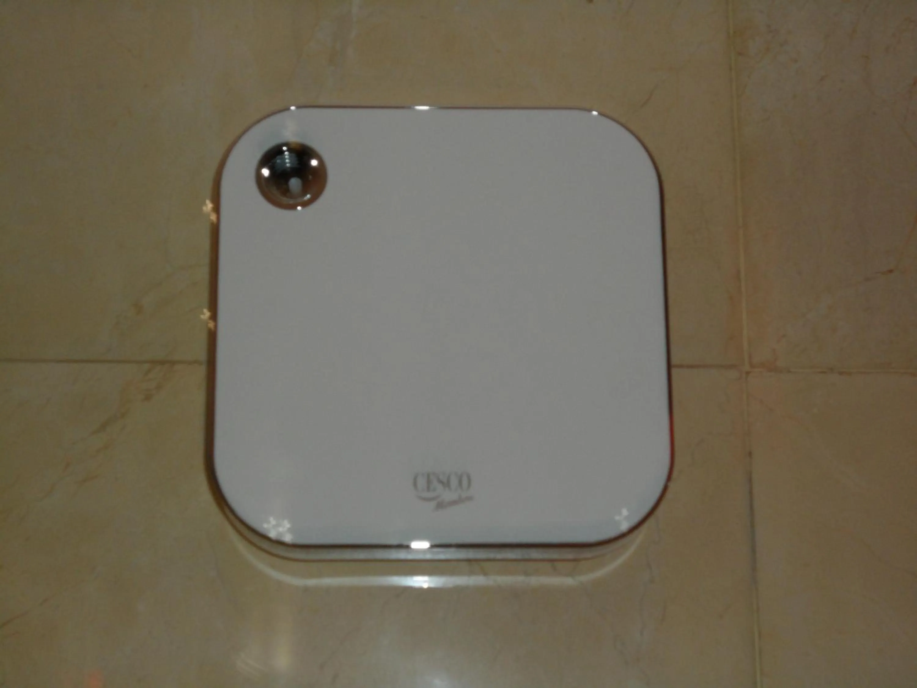 Area and facilities in Songdo Blue Hotel