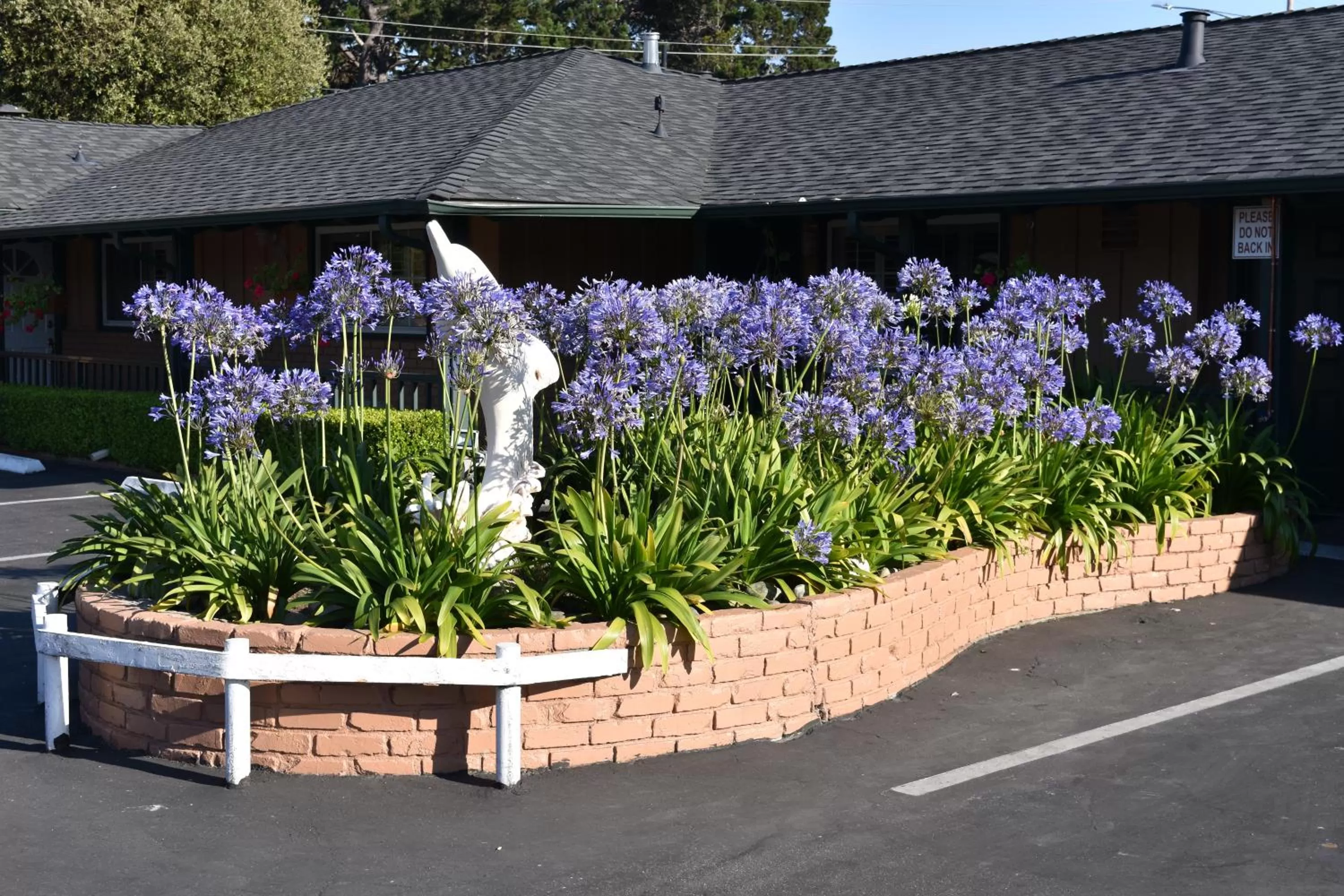 Garden in Padre Oaks