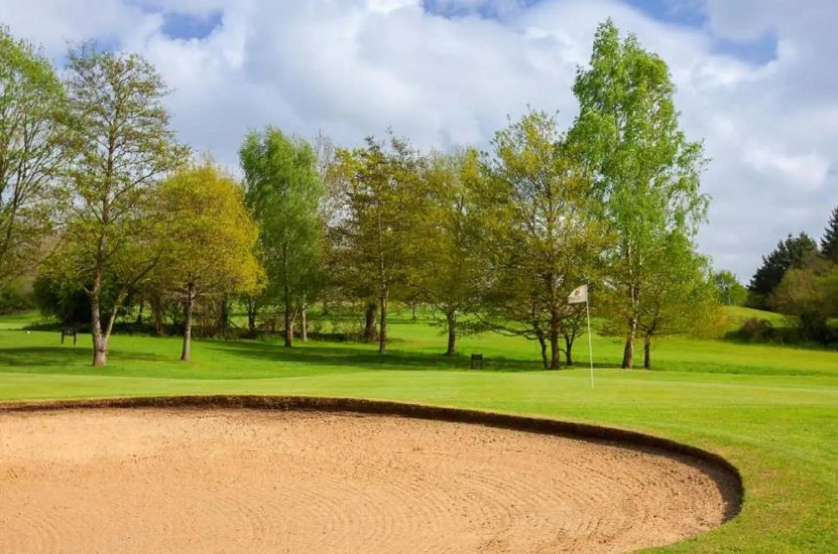 Golfcourse in Meon Valley Hotel, Golf & Country Club