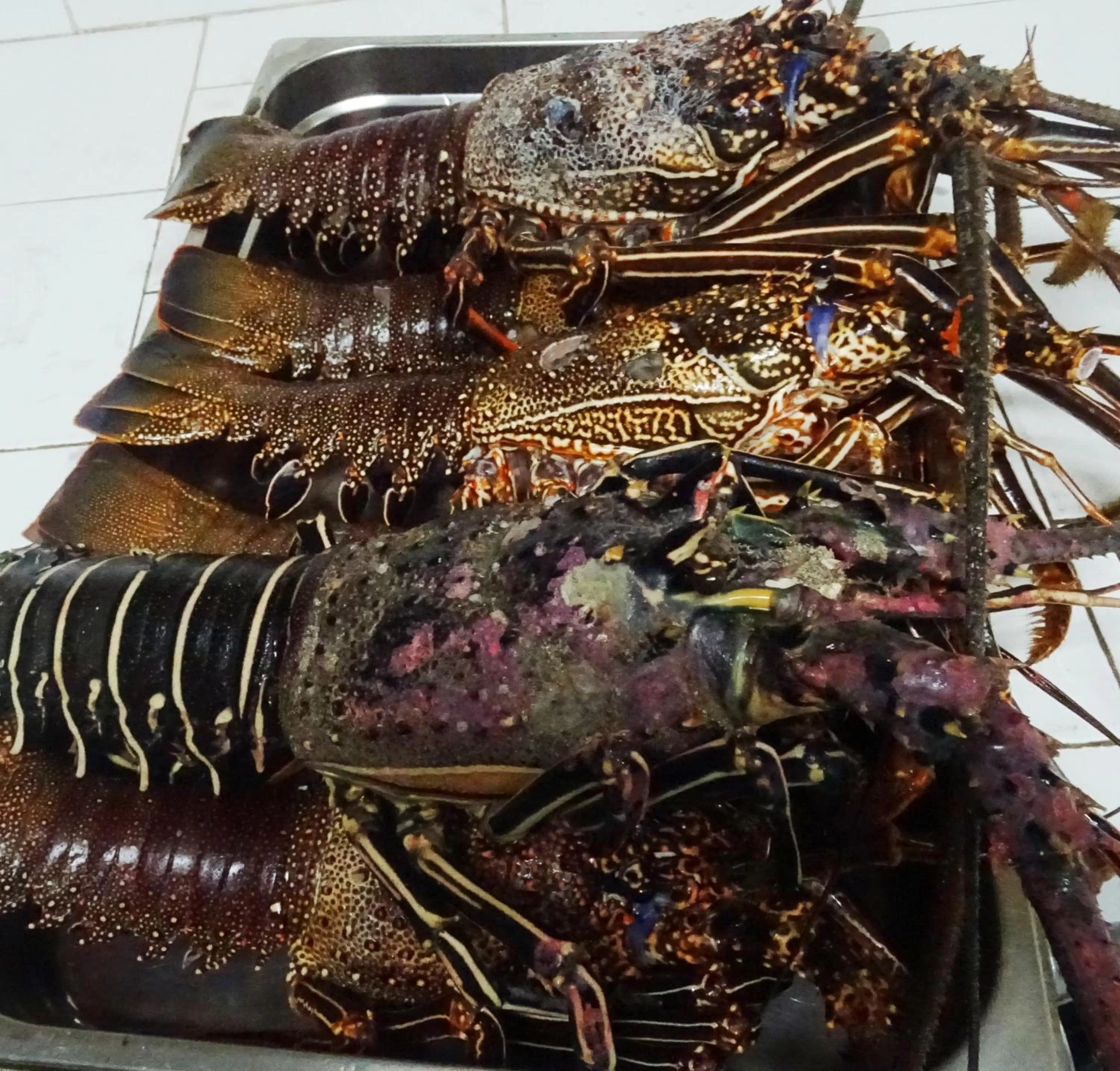 Restaurant/places to eat, Other Animals in Pensaò Big Game Maio