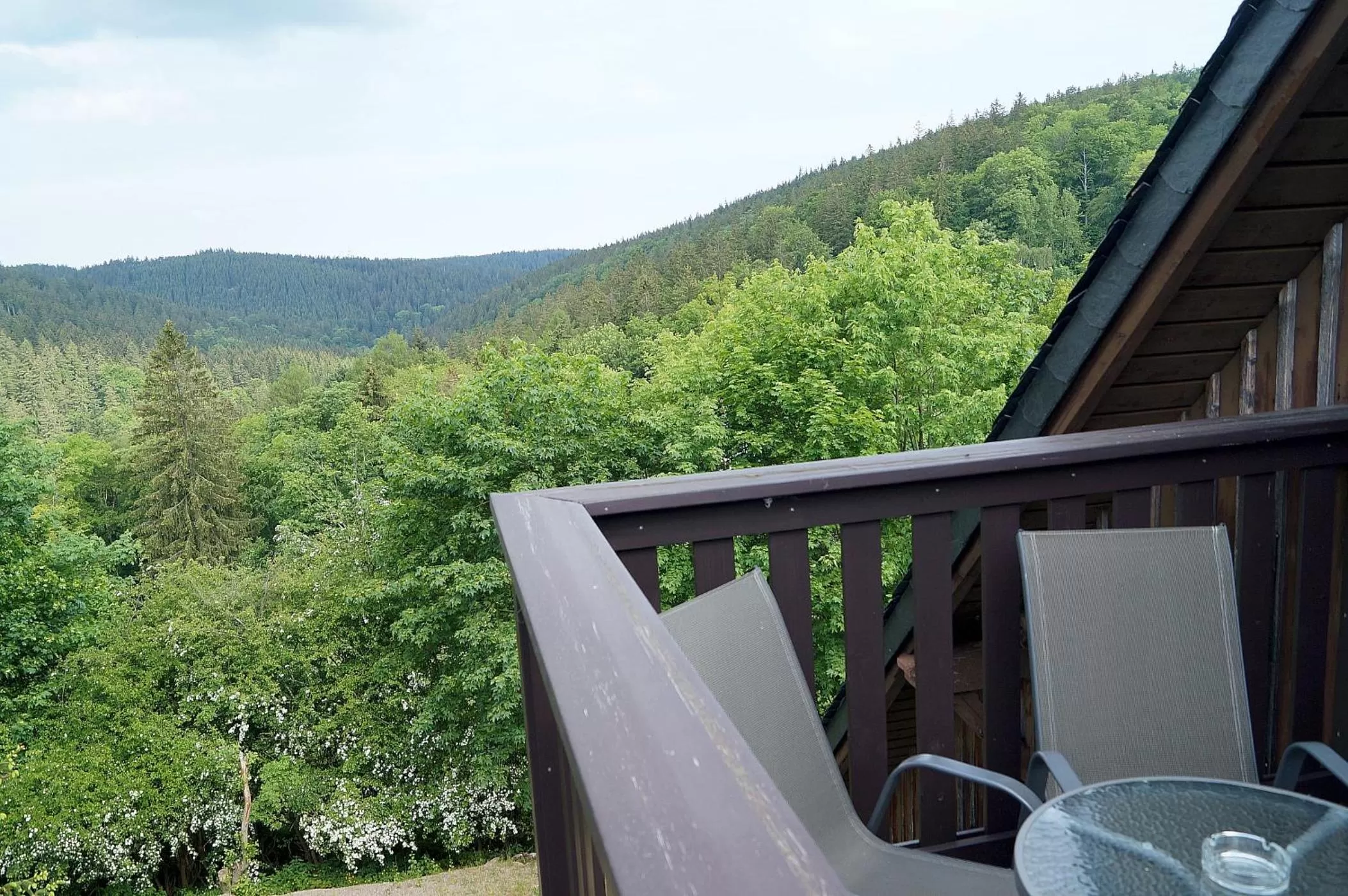 Natural landscape in Erzgebirgshotel Misnia Bärenfels