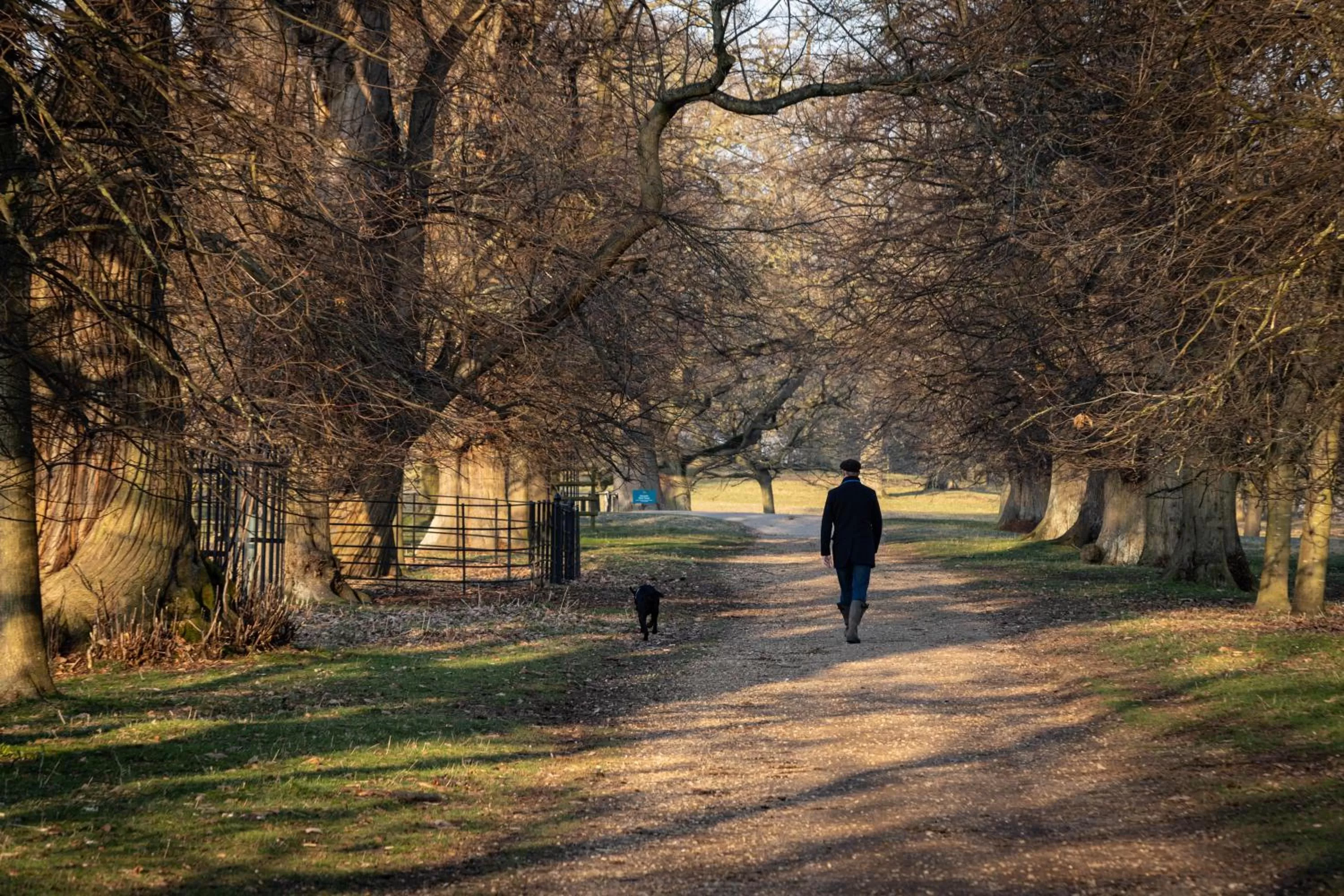 Other in The Bull And Swan
