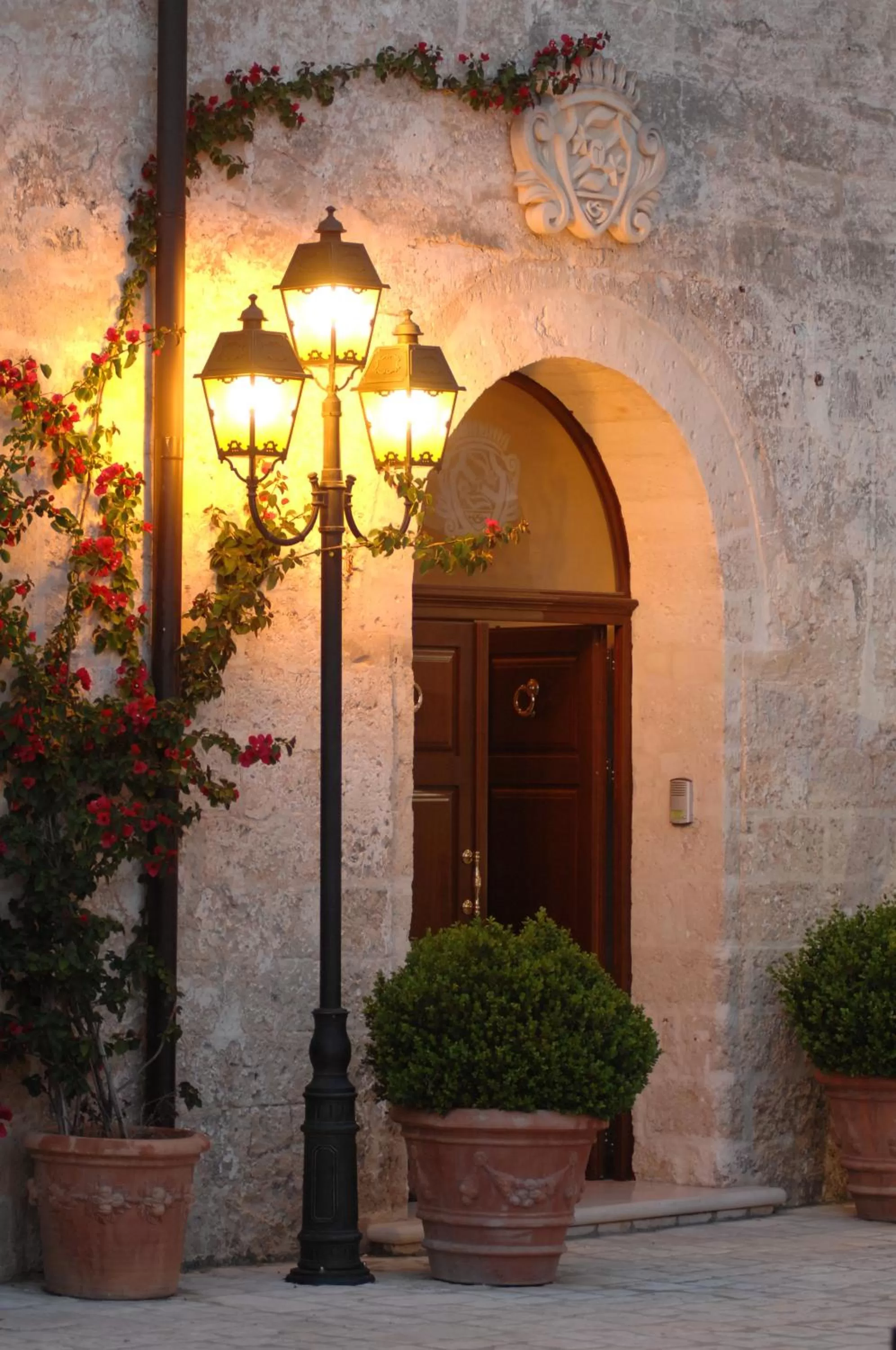 Garden in Castello Conti Filo