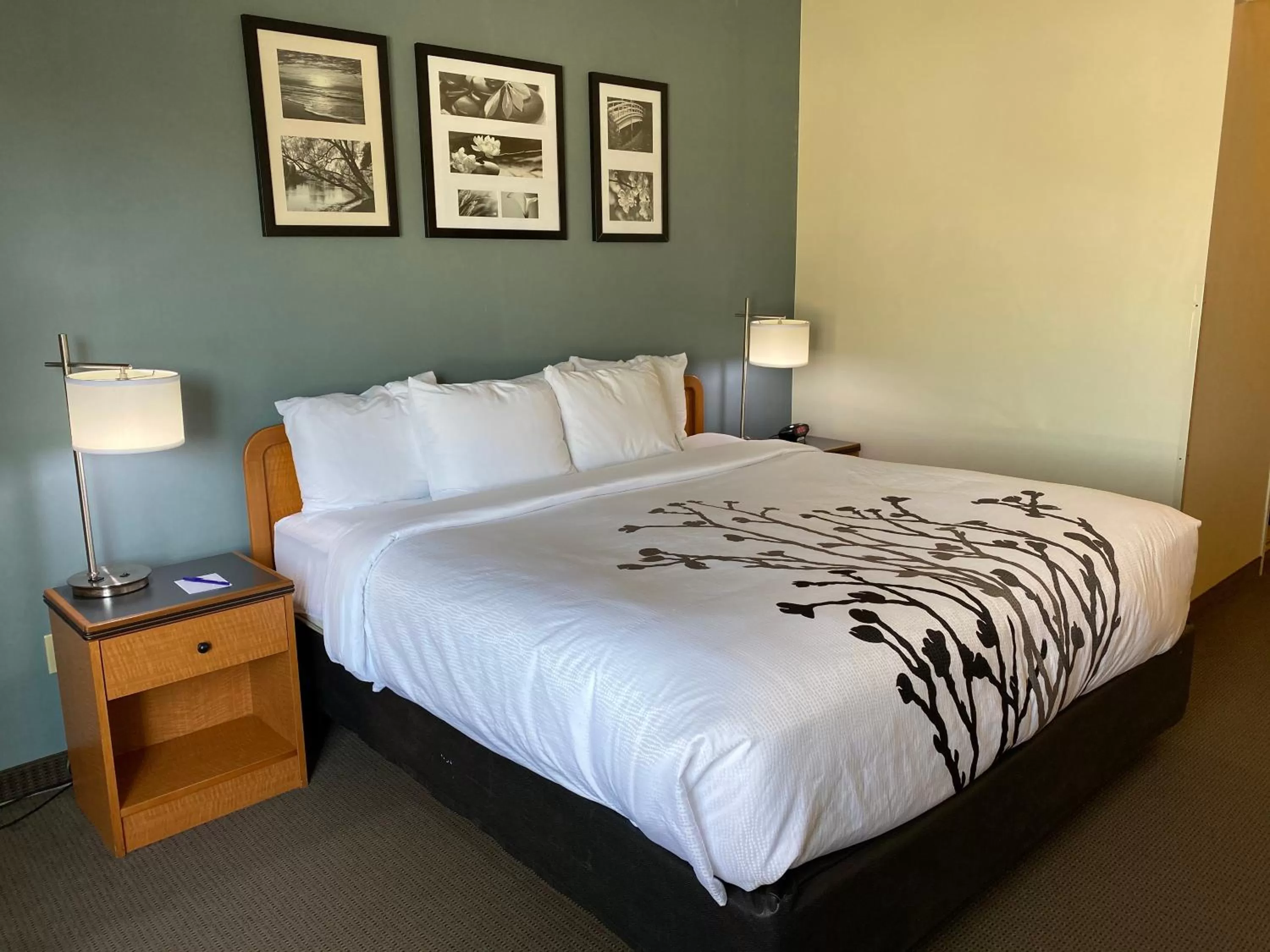 King Room - Non-Smoking in Sleep Inn & Suites Davenport - Quad Cities
