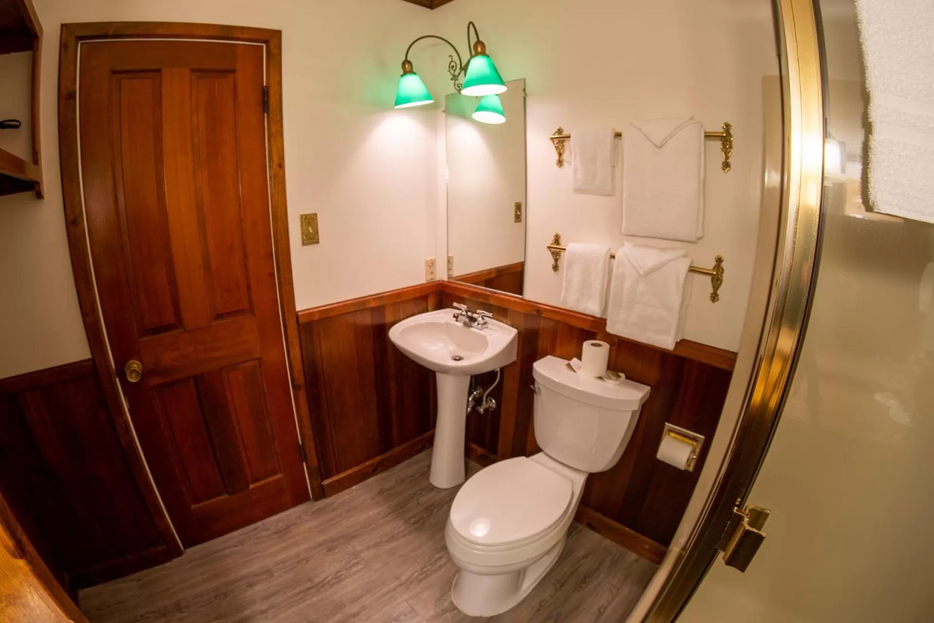 Toilet in Narrow Gauge Inn