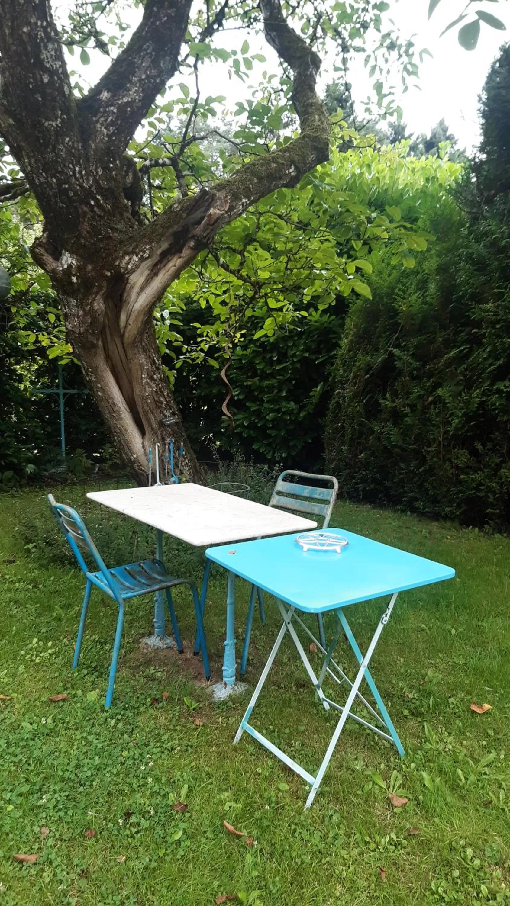 Table Tennis in le buisson de la gariole ,chambre rhétaise