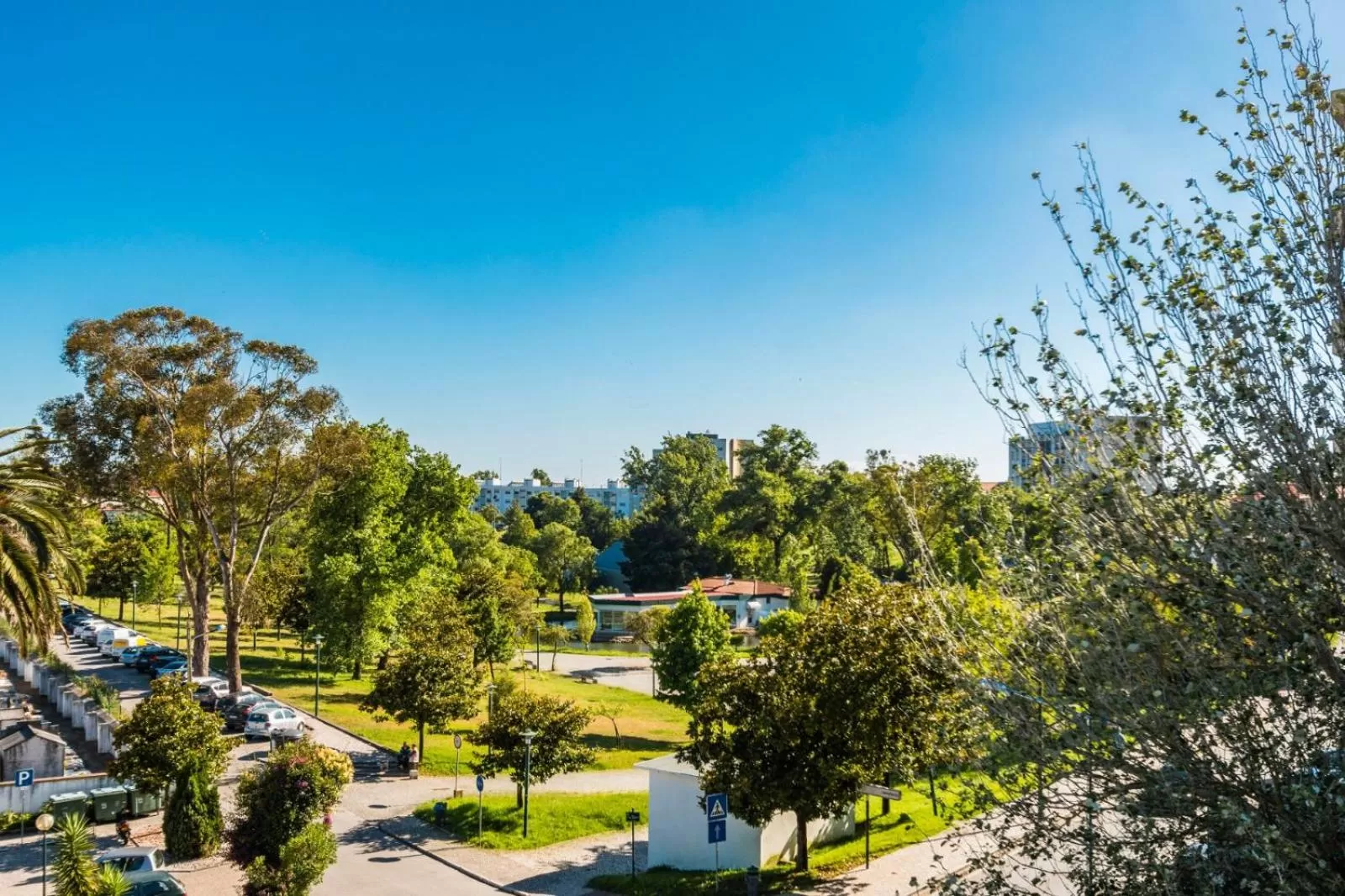 Neighbourhood, Pool View in Residencia Paris