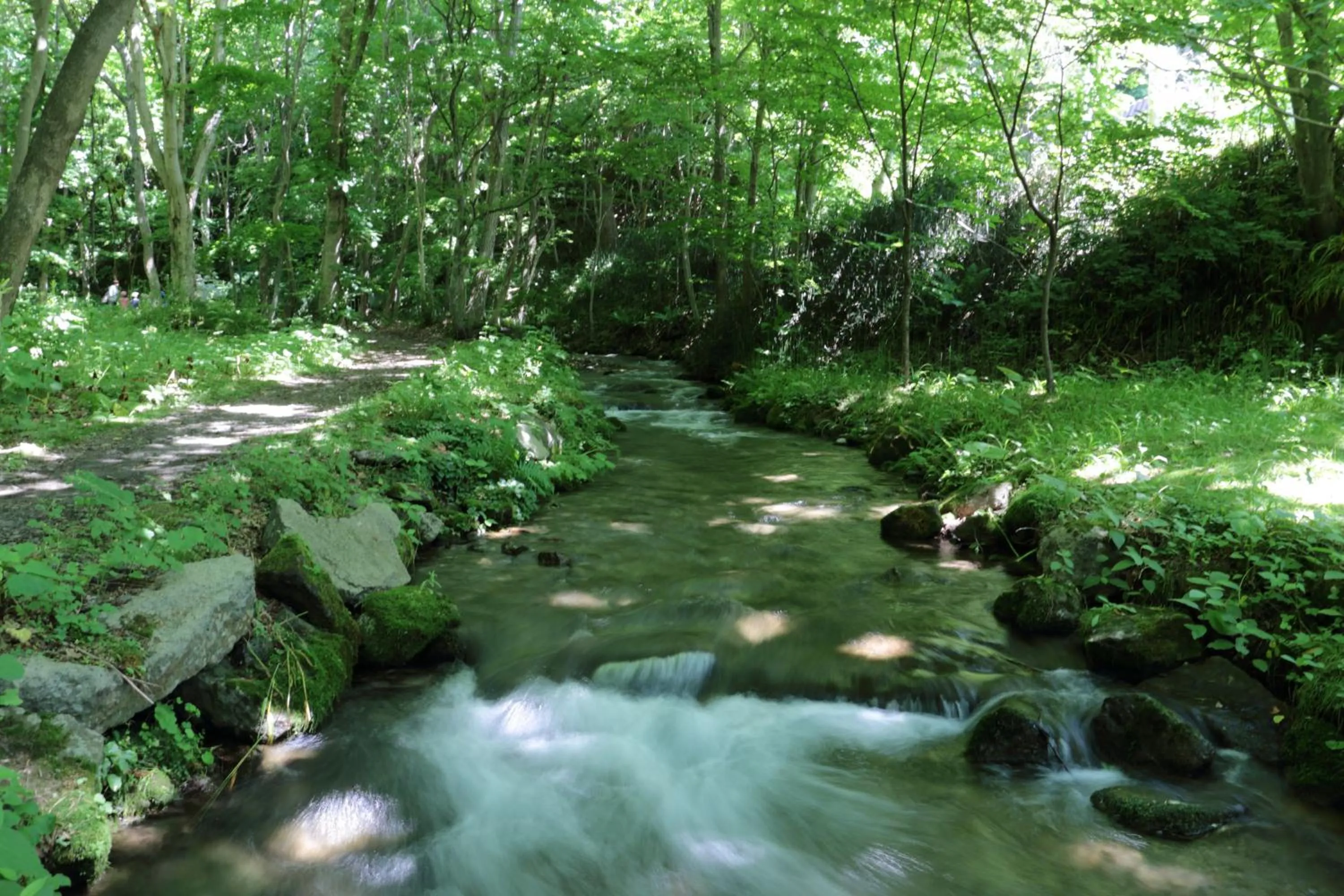 Natural landscape in Kitayuzawa Mori no soraniwa