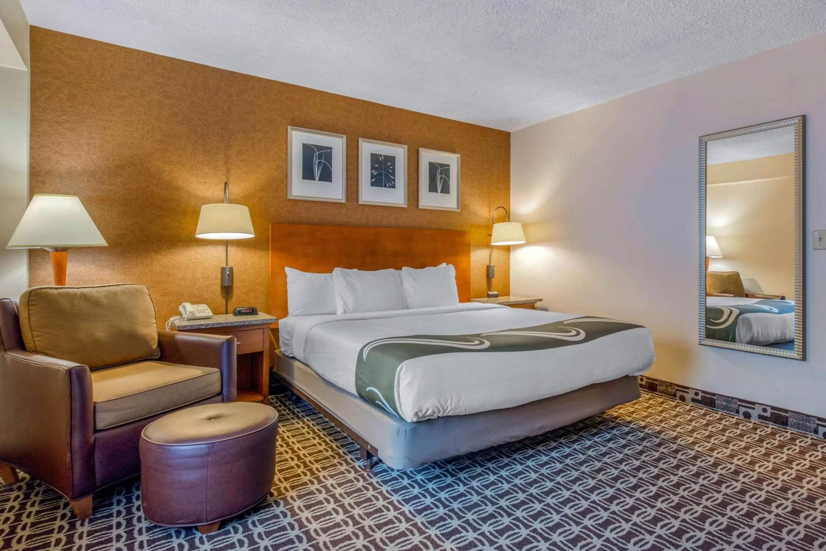 King Room with Roll-In Shower - Accessible/Non-Smoking in Quality Inn Savannah Historic District