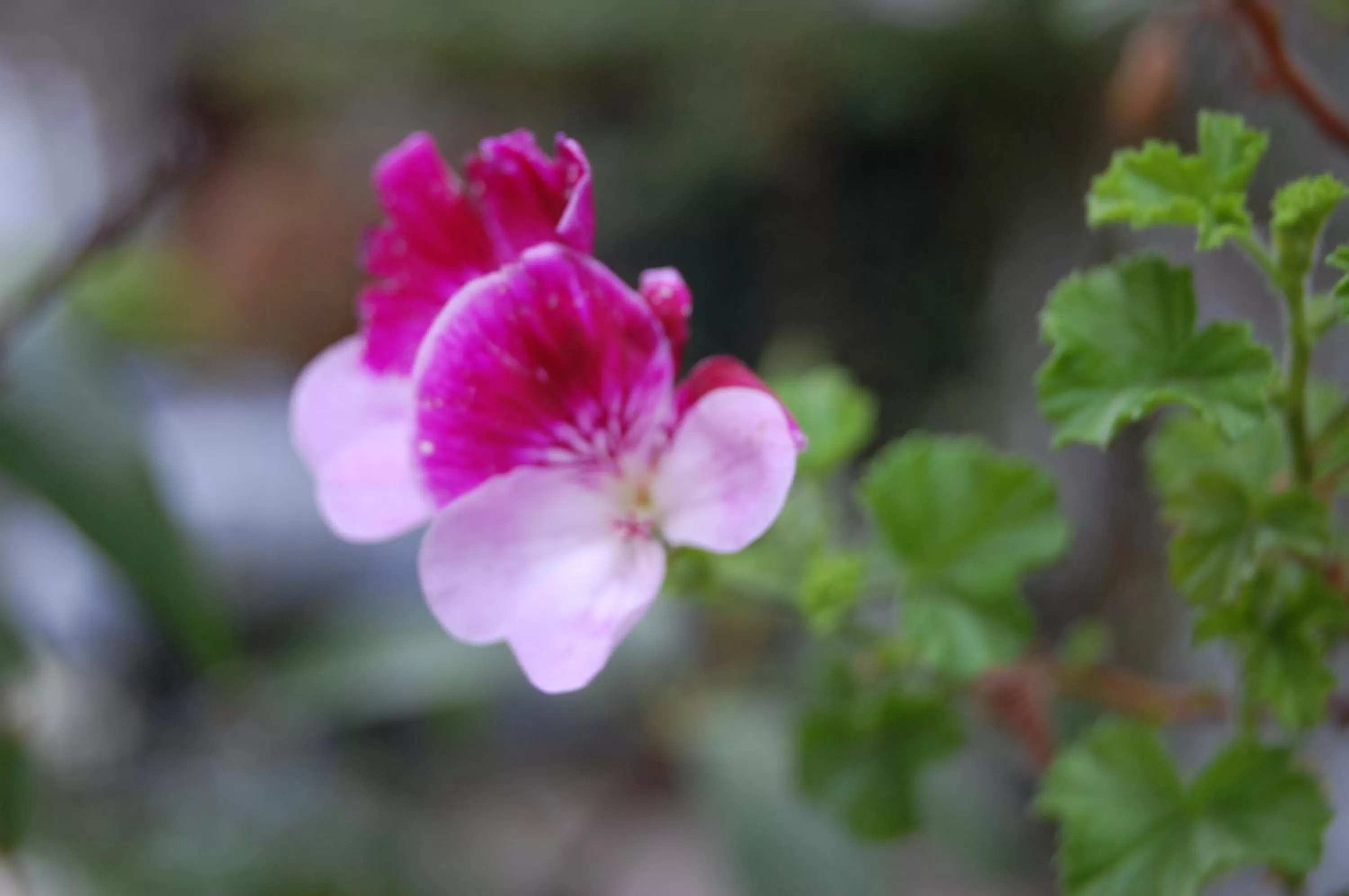 Other in Apartamentos Otorongo Cuenca Ecuador