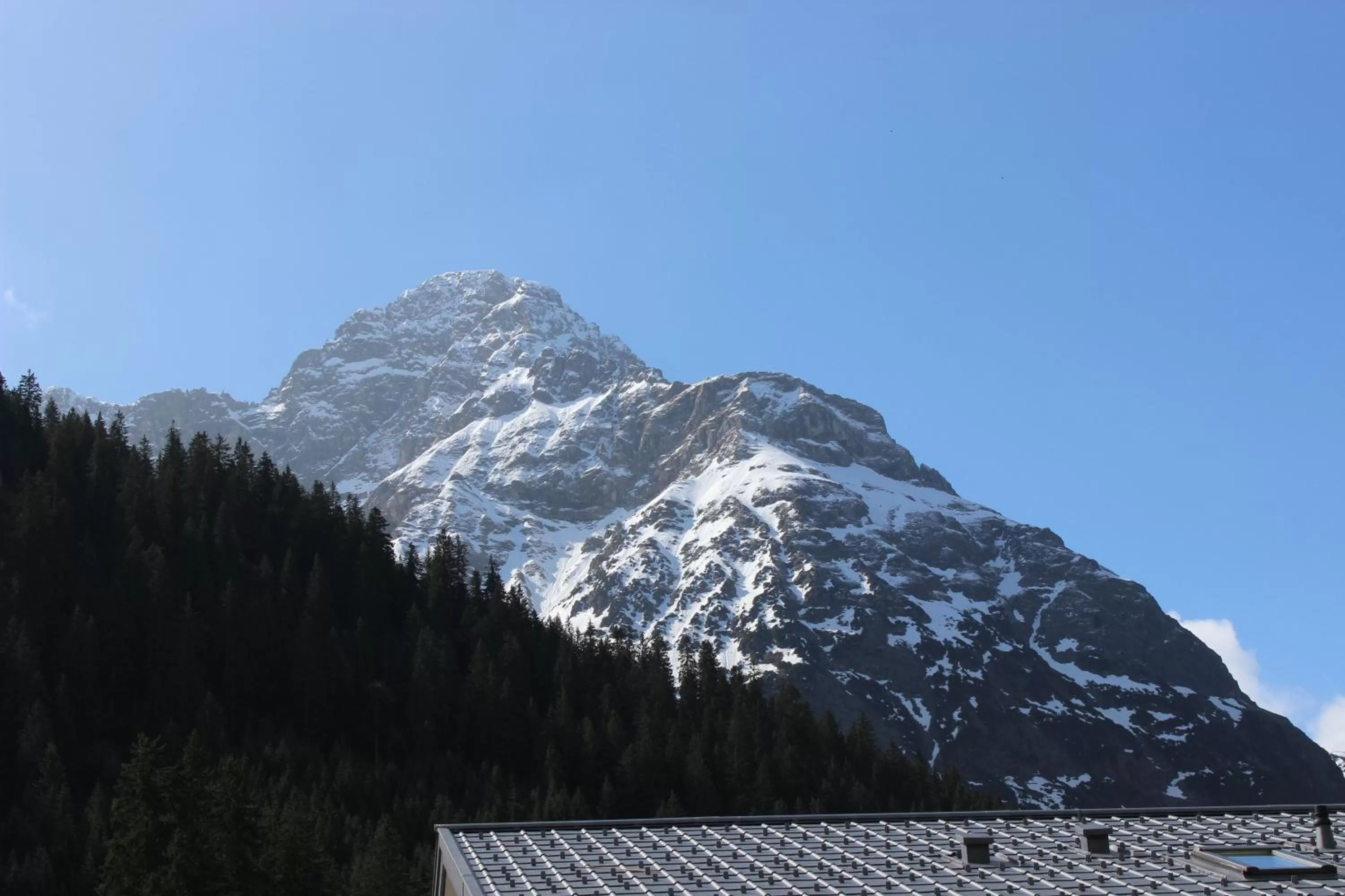 View (from property/room) in Alpenhotel Widderstein