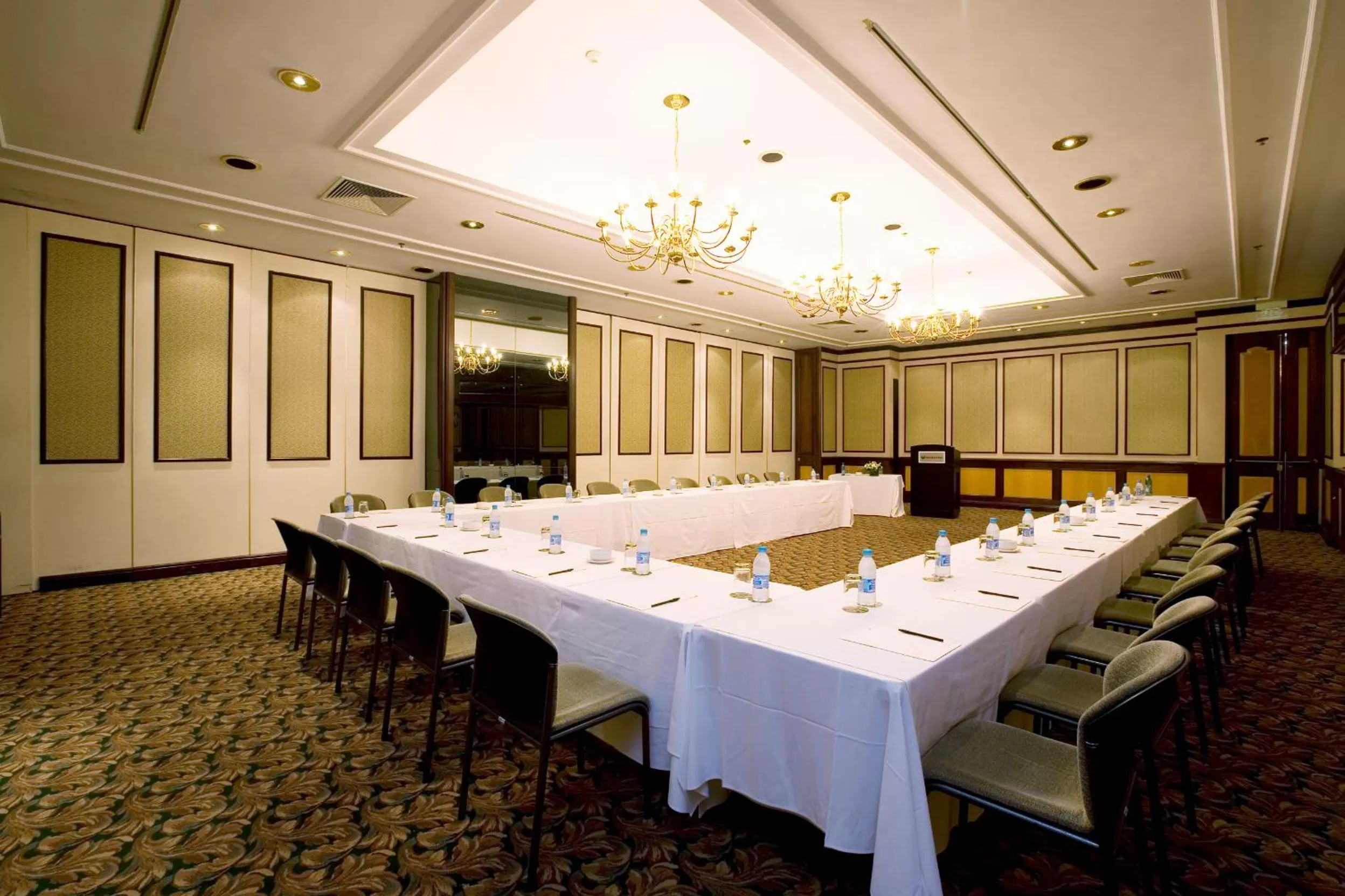 Meeting/conference room in Southern Sun Cape Sun