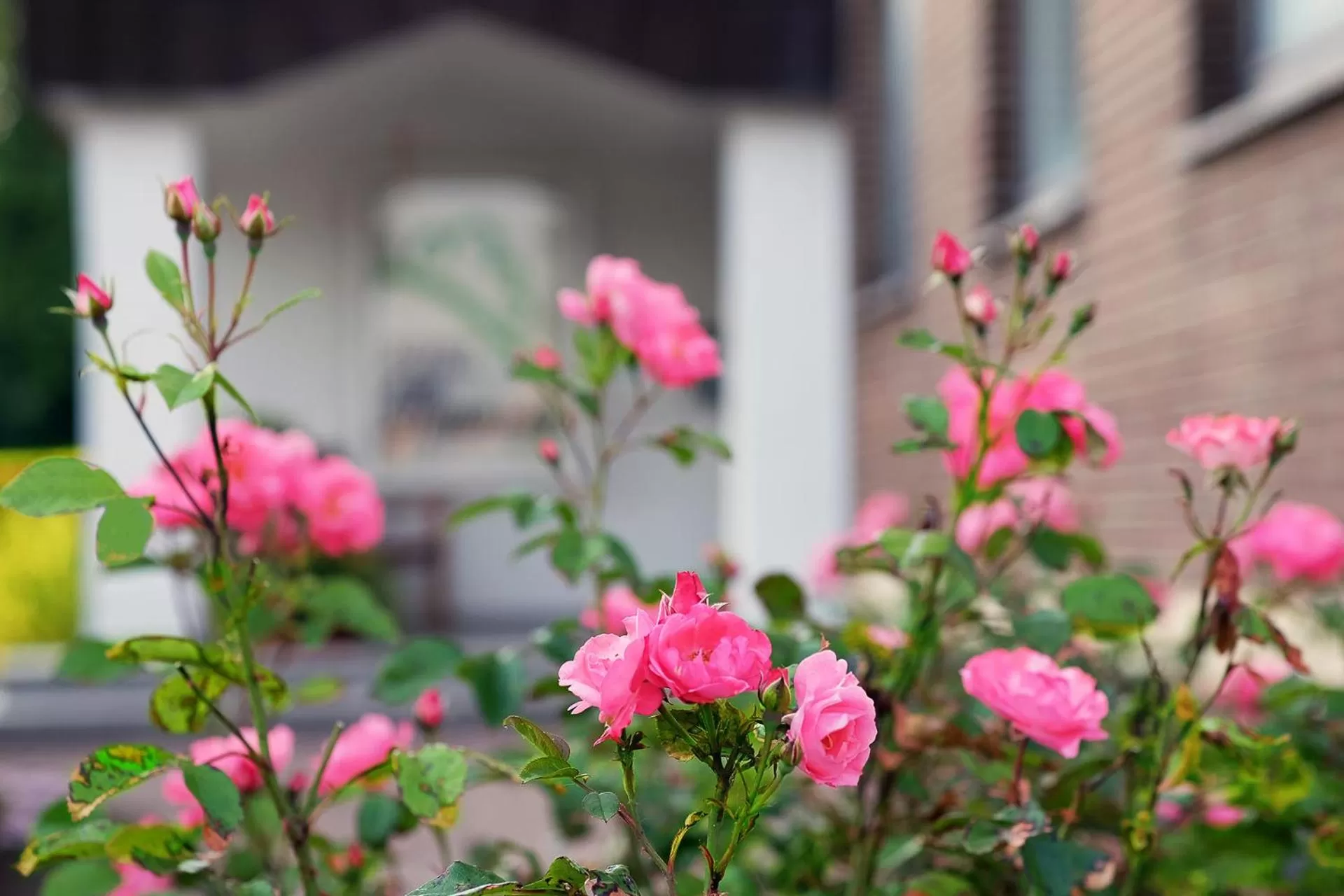 Property building in Hotel Am Steinberg