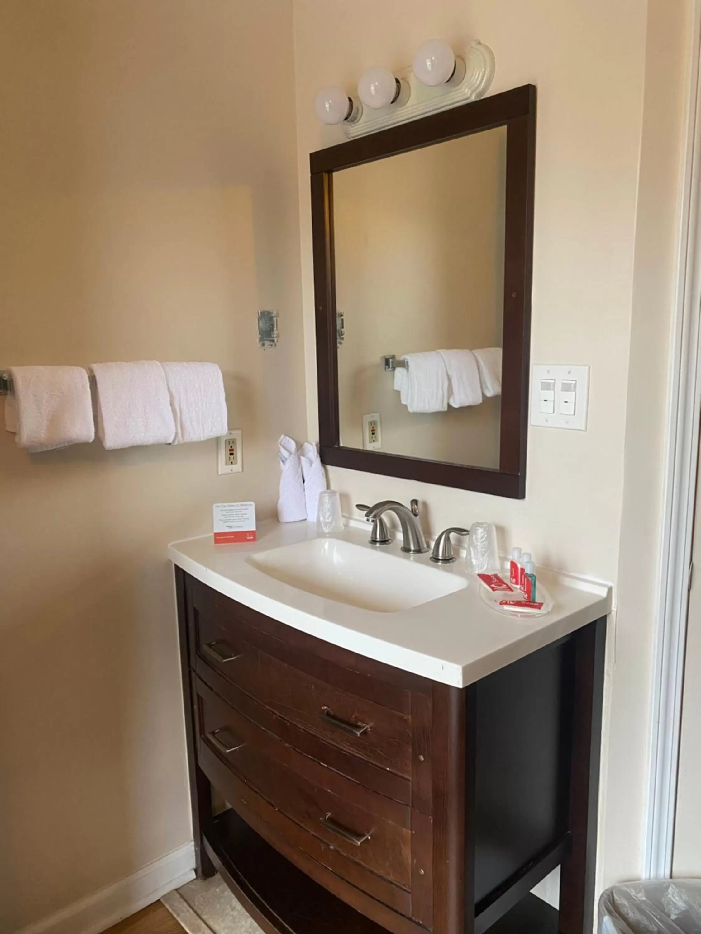 Bathroom in Econo Lodge at the Falls North