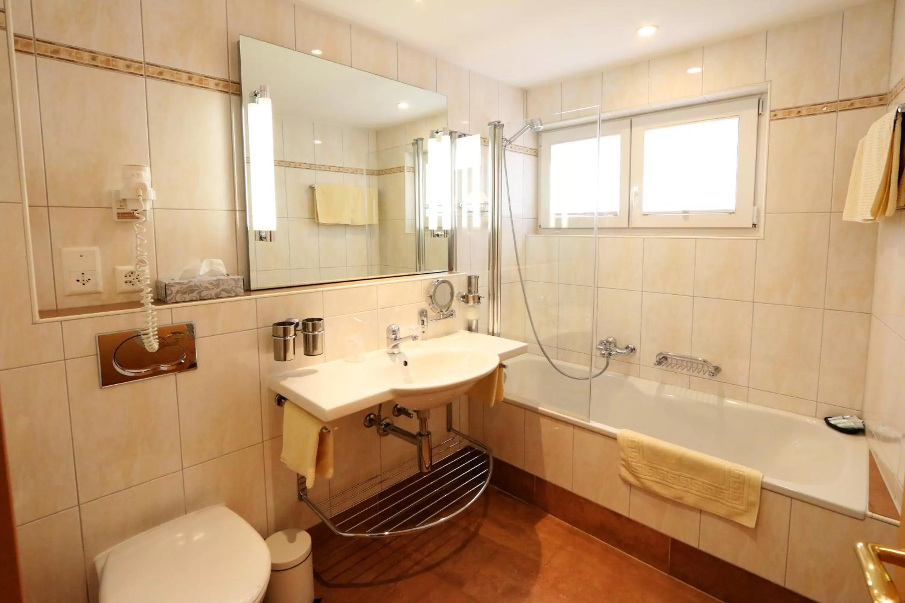 Amber Ski-in/out Hotel & Spa