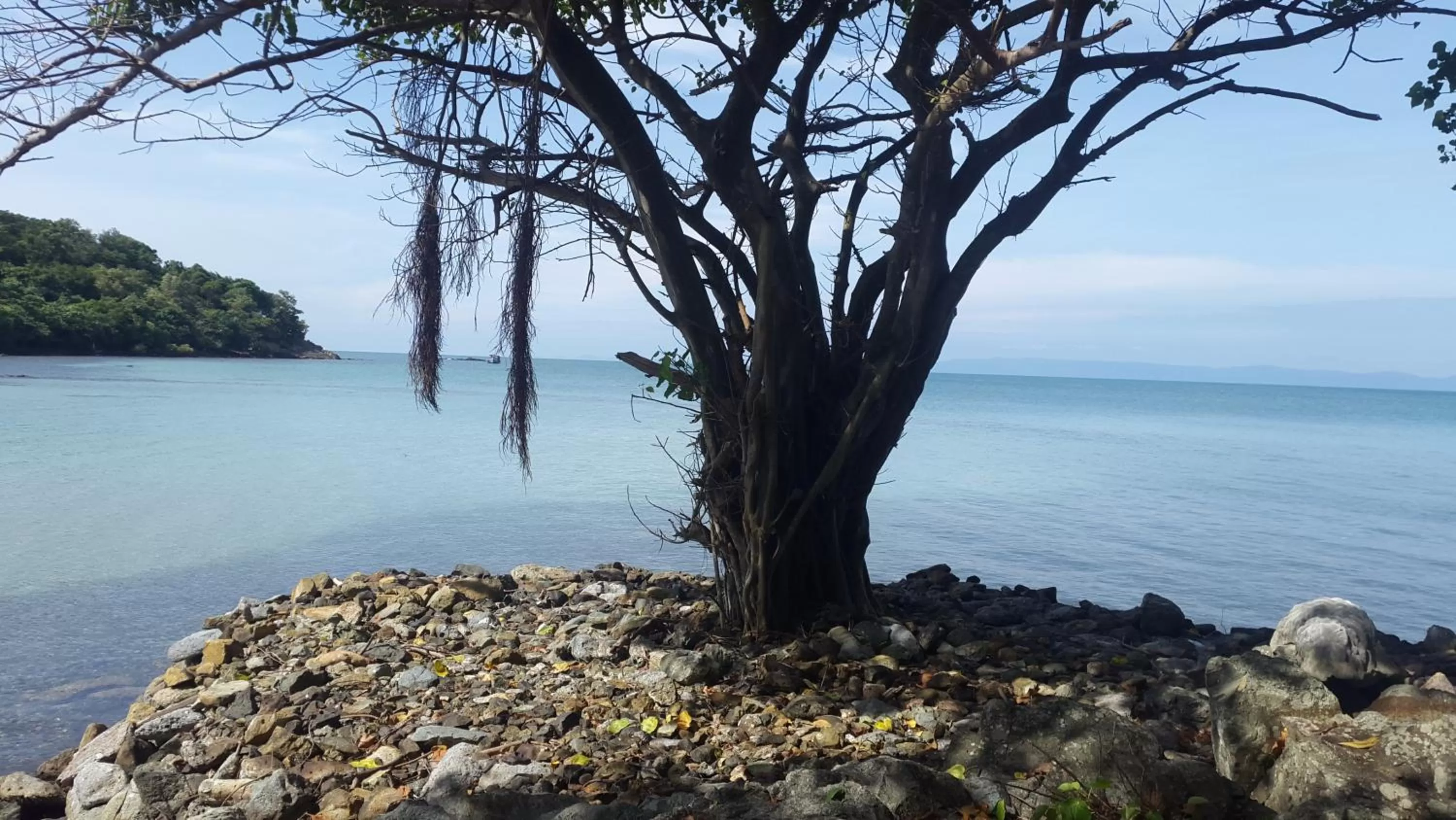 Area and facilities in River Hotel