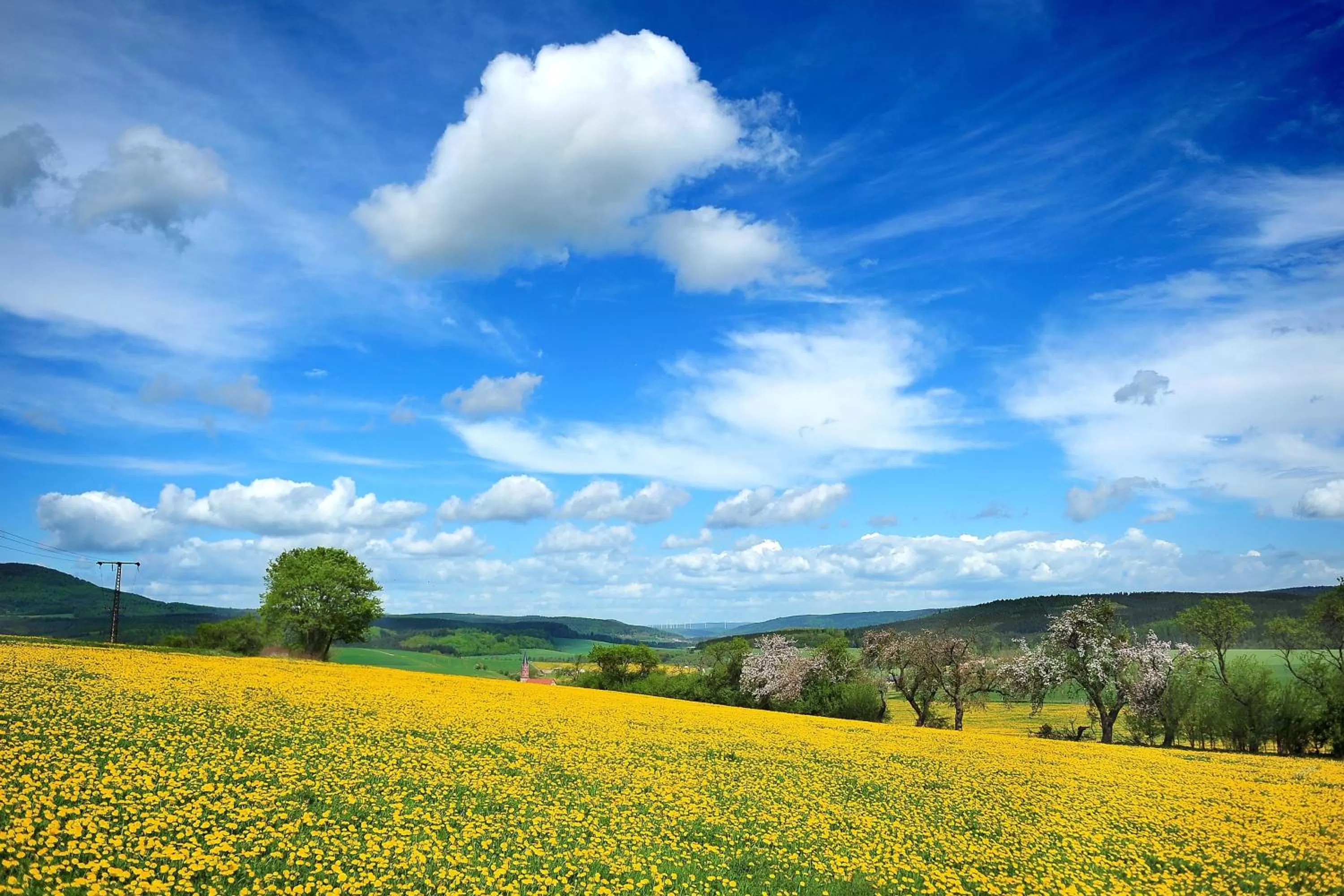 Natural landscape in Familienhotel "Rhön Feeling"