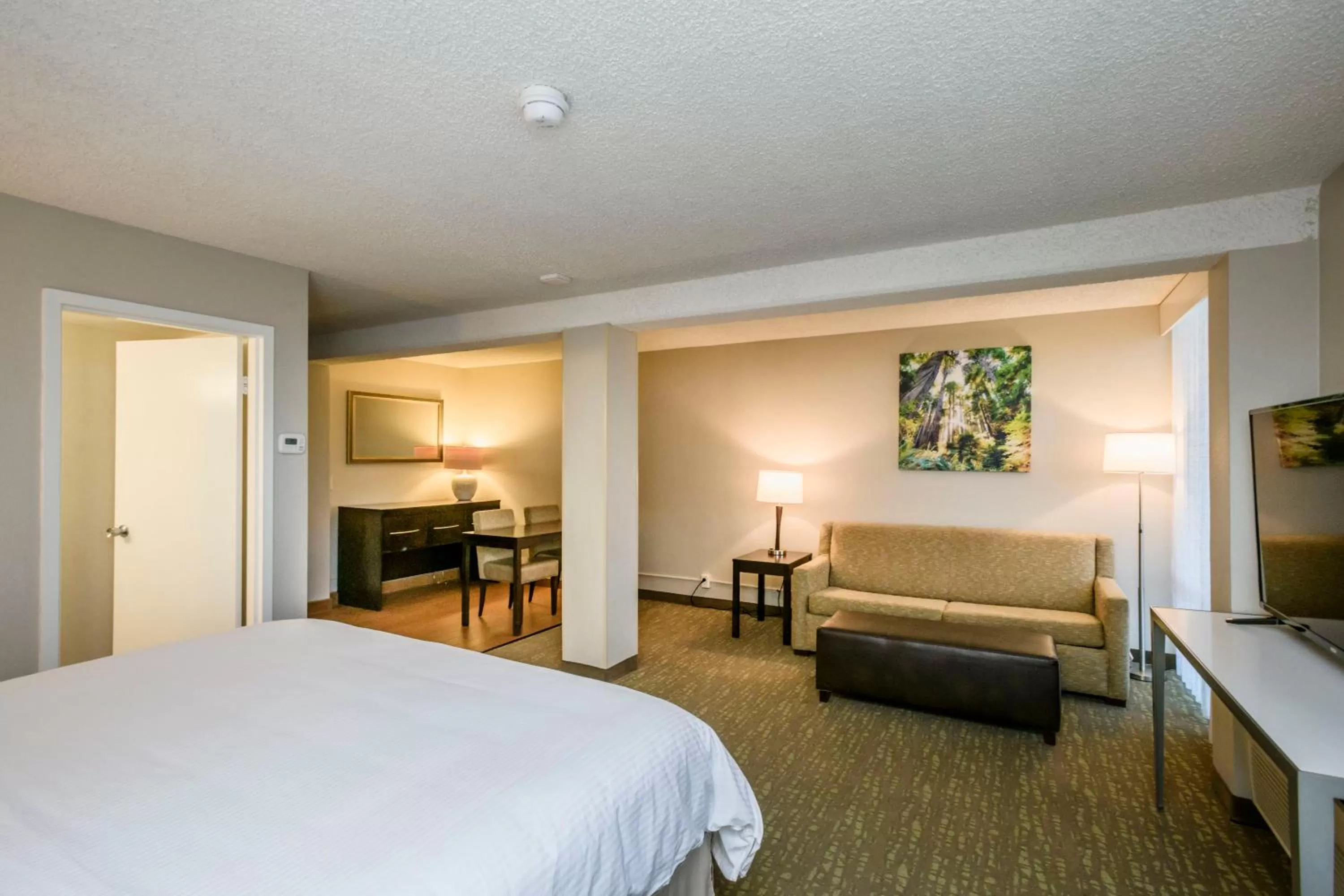 Junior King Suite - Non-Smoking in Wyndham Garden Fresno Yosemite Airport