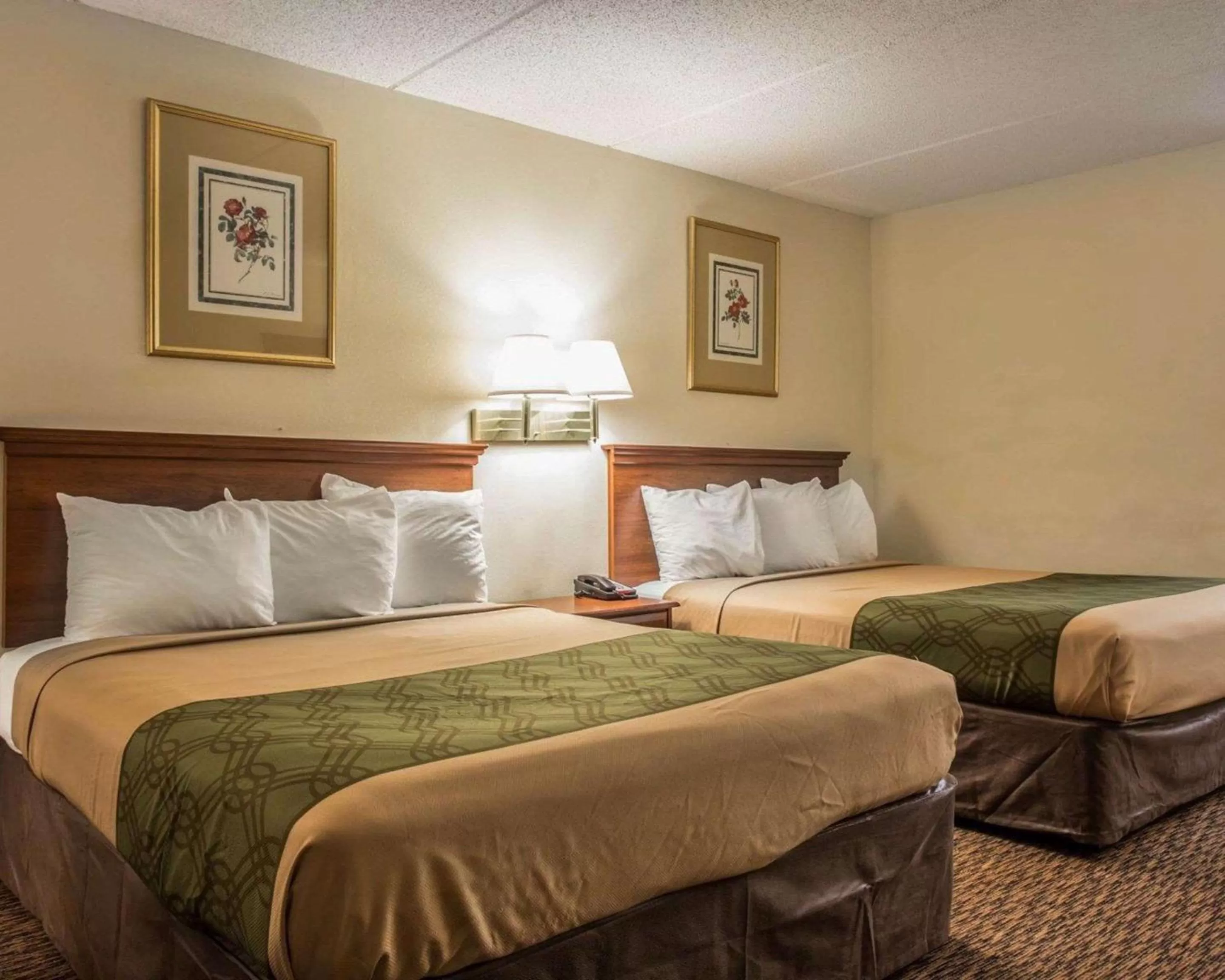 Photo of the whole room, Bed in Econo Lodge Inn & Suites Lugoff