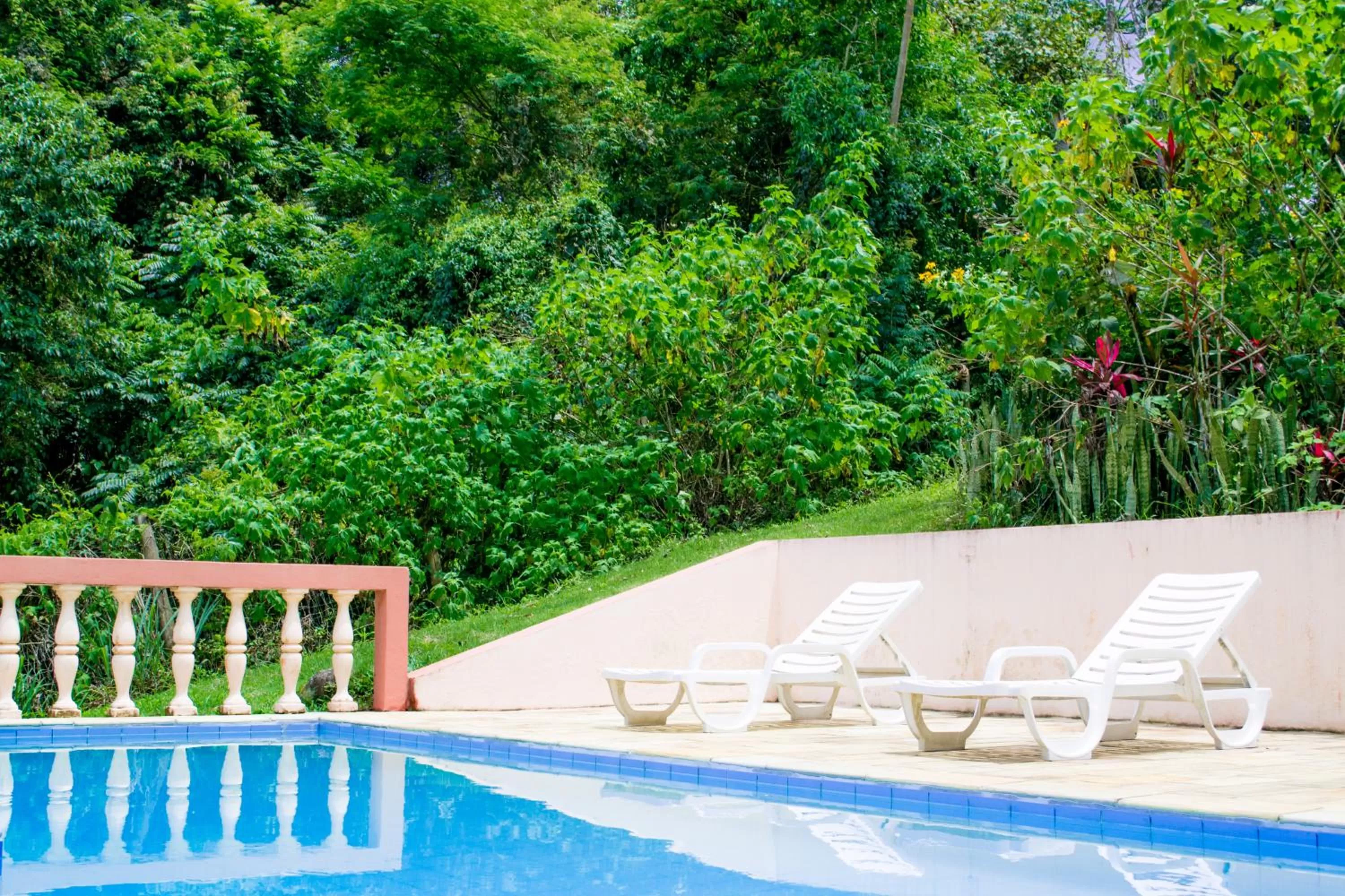 Natural landscape in Pousada Canto do Curió Paraty
