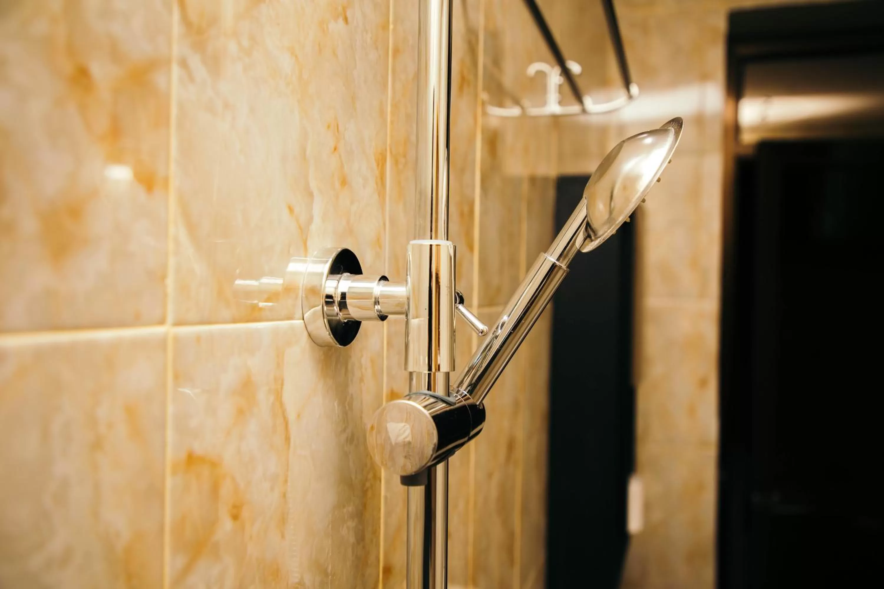 Shower in Dual Mountain View Lodge