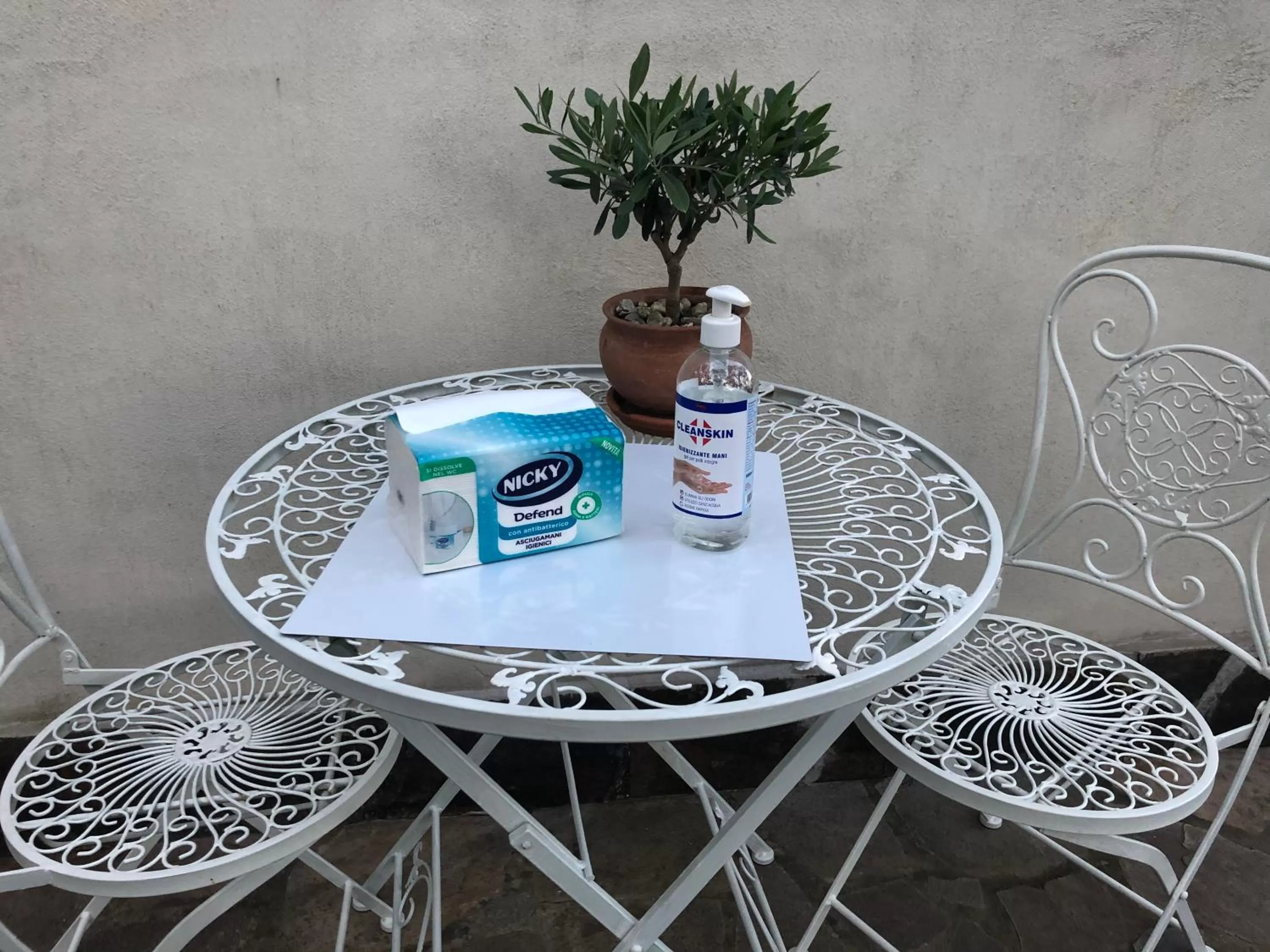 Area and facilities in Villa Degli Ulivi B&B