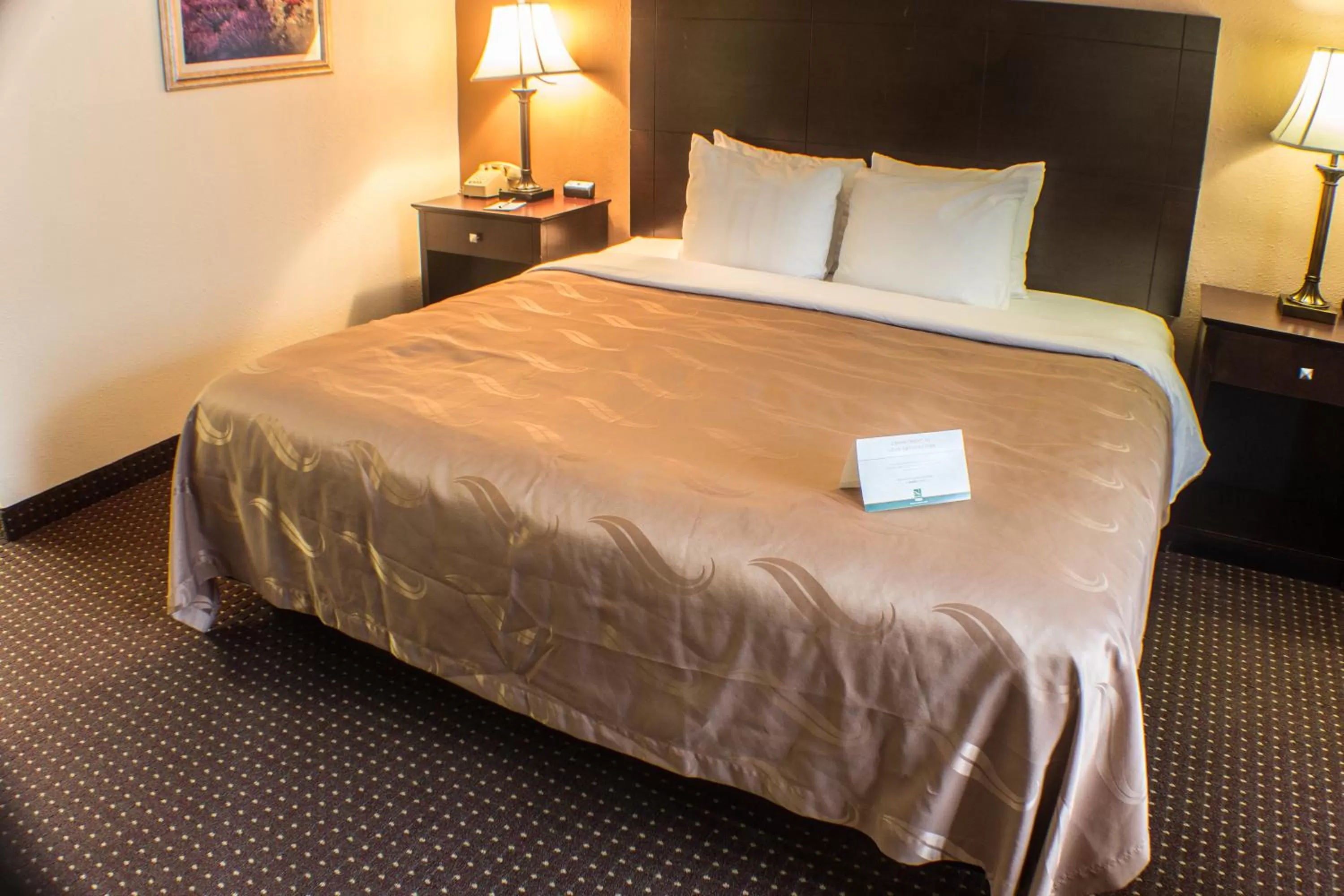 Standard King Room - Non-Smoking- Not Pet Friendly in Quality Inn & Suites Erie near Casino