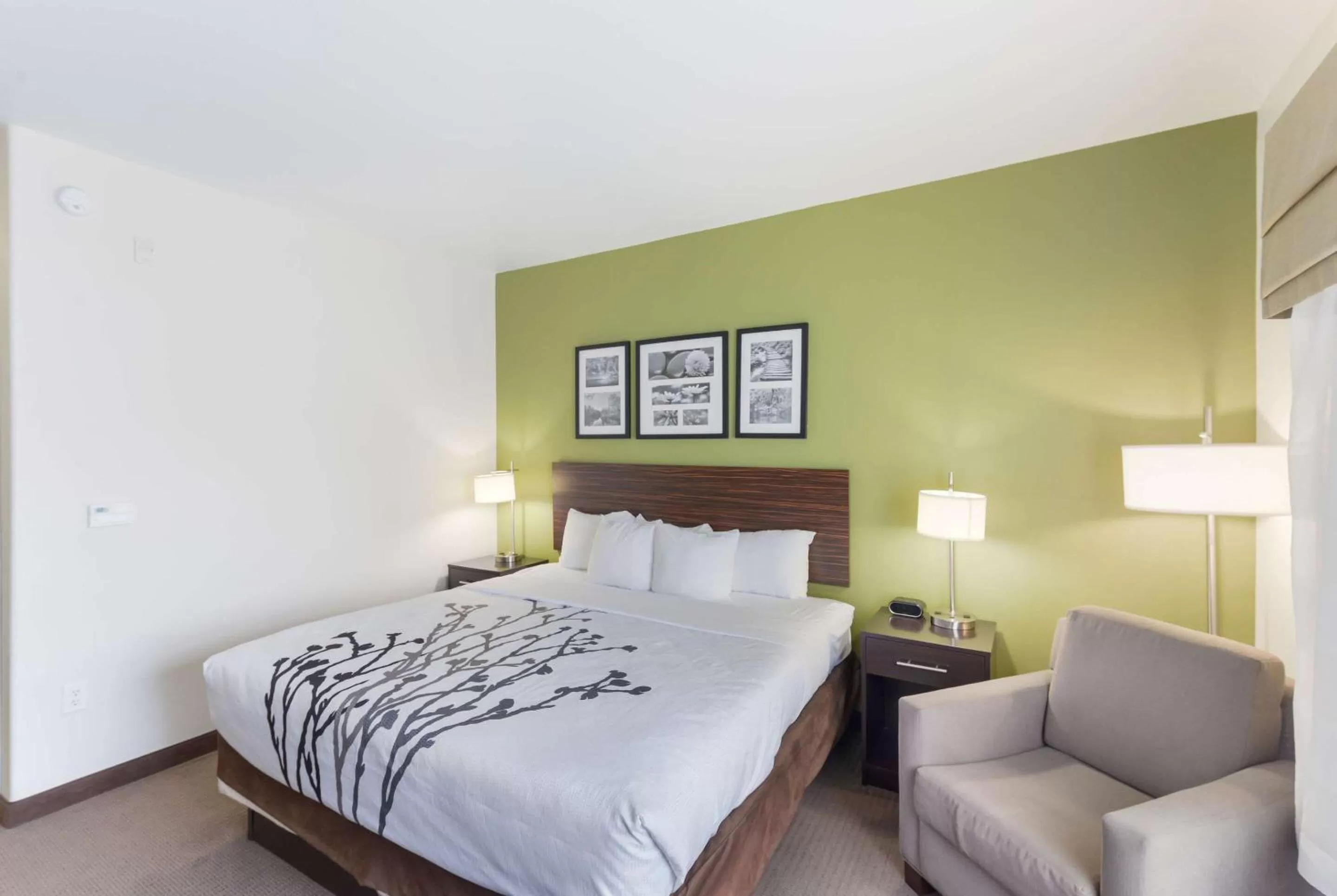 Photo of the whole room, Bed in Sleep Inn & Suites Midland West