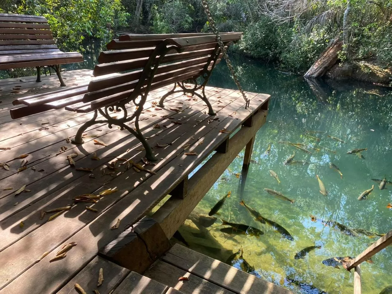 Balcony/Terrace in Hotel Santa Esmeralda