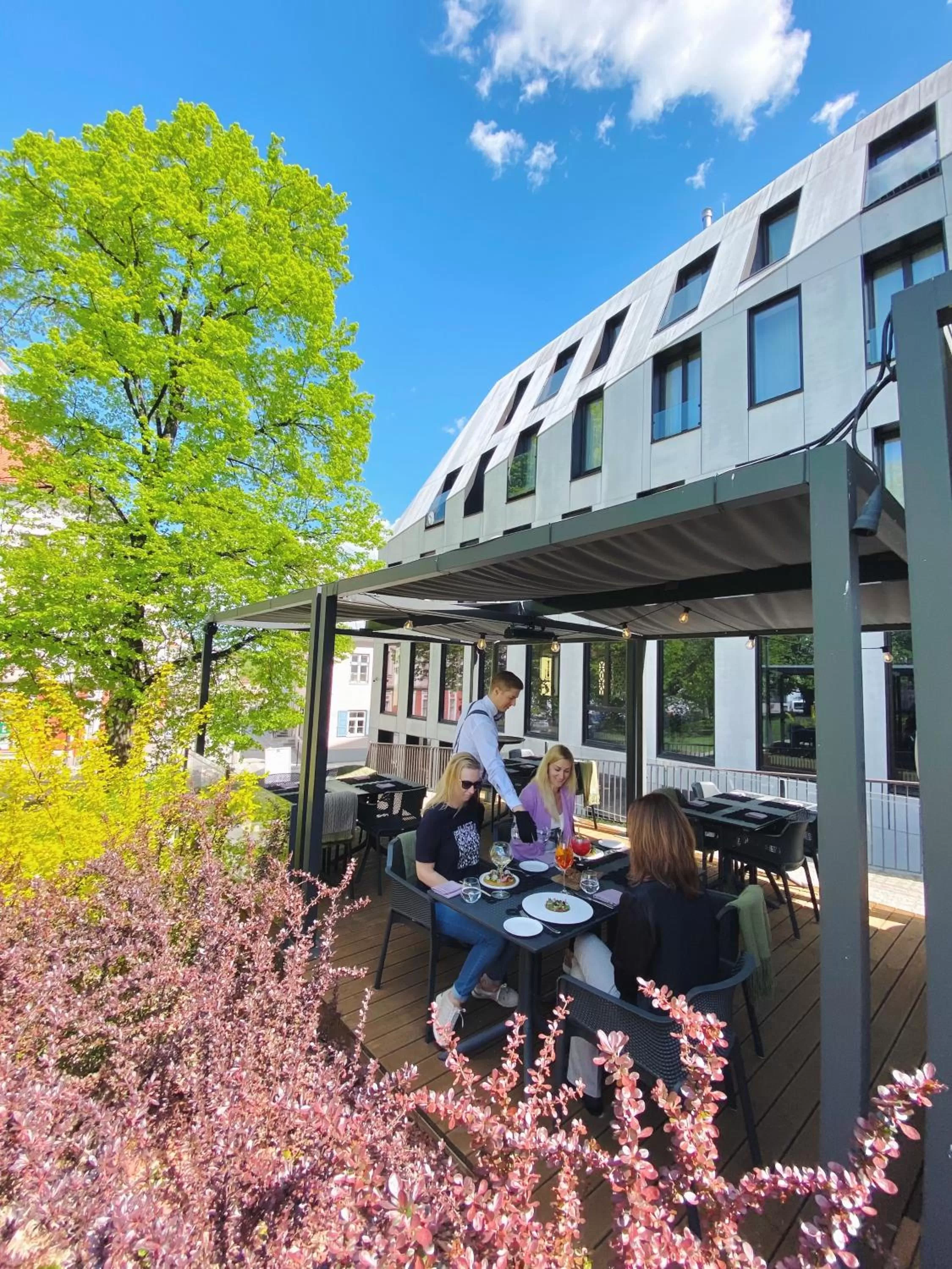 Garden in Lydia Hotel