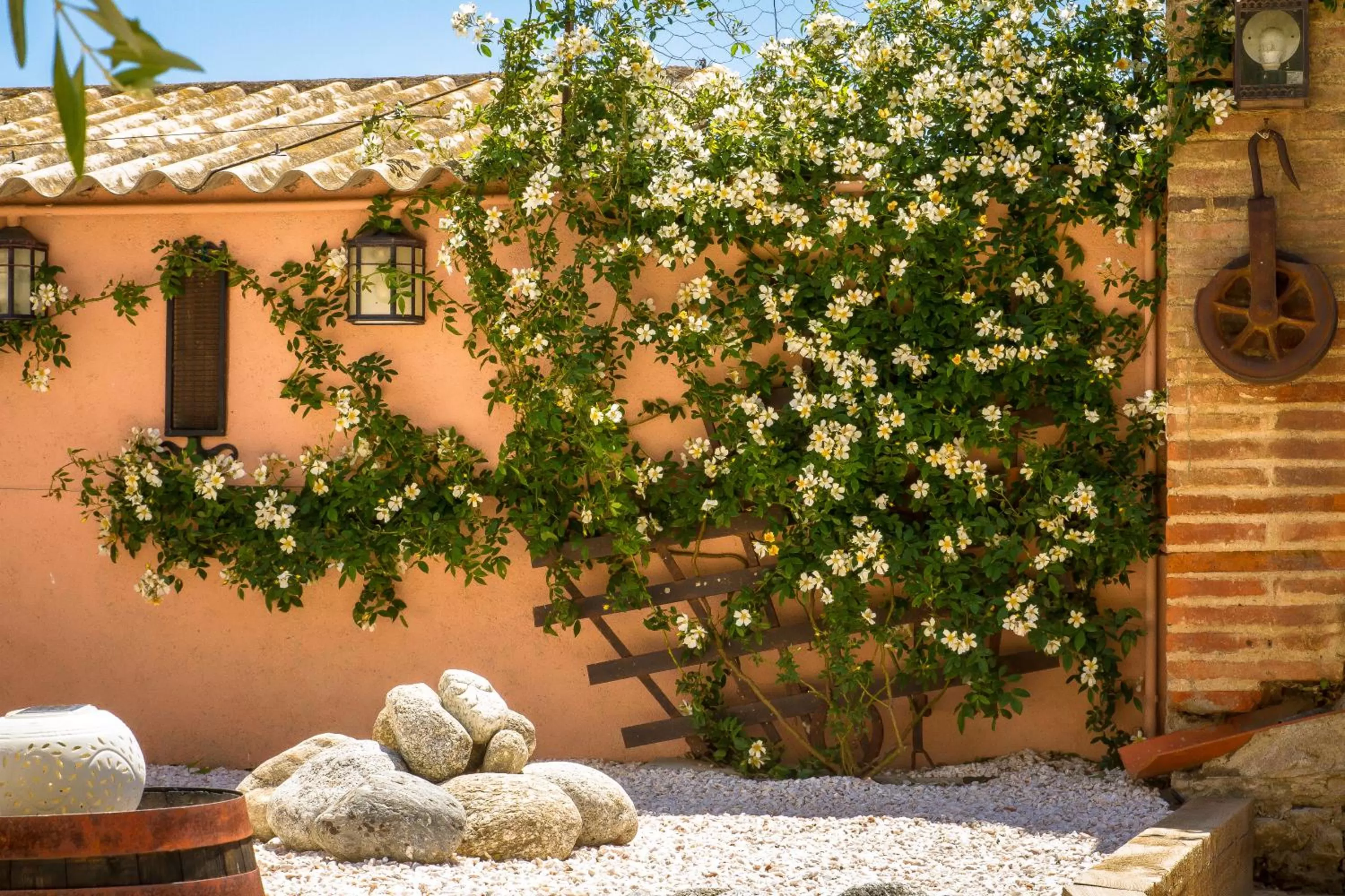 Garden in Mas St. Joseph