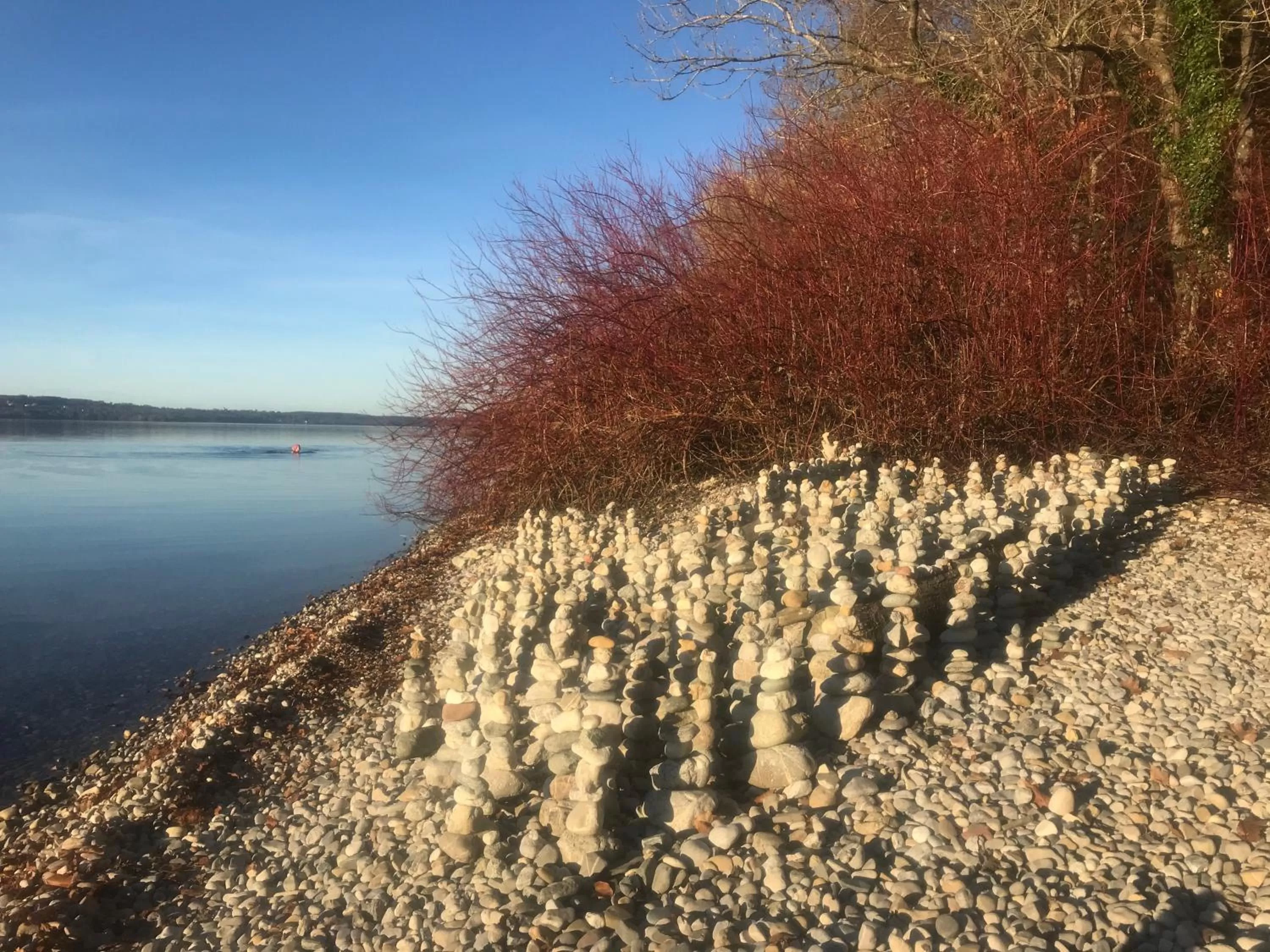 Natural landscape in Bed and Breakfast Bavaria München