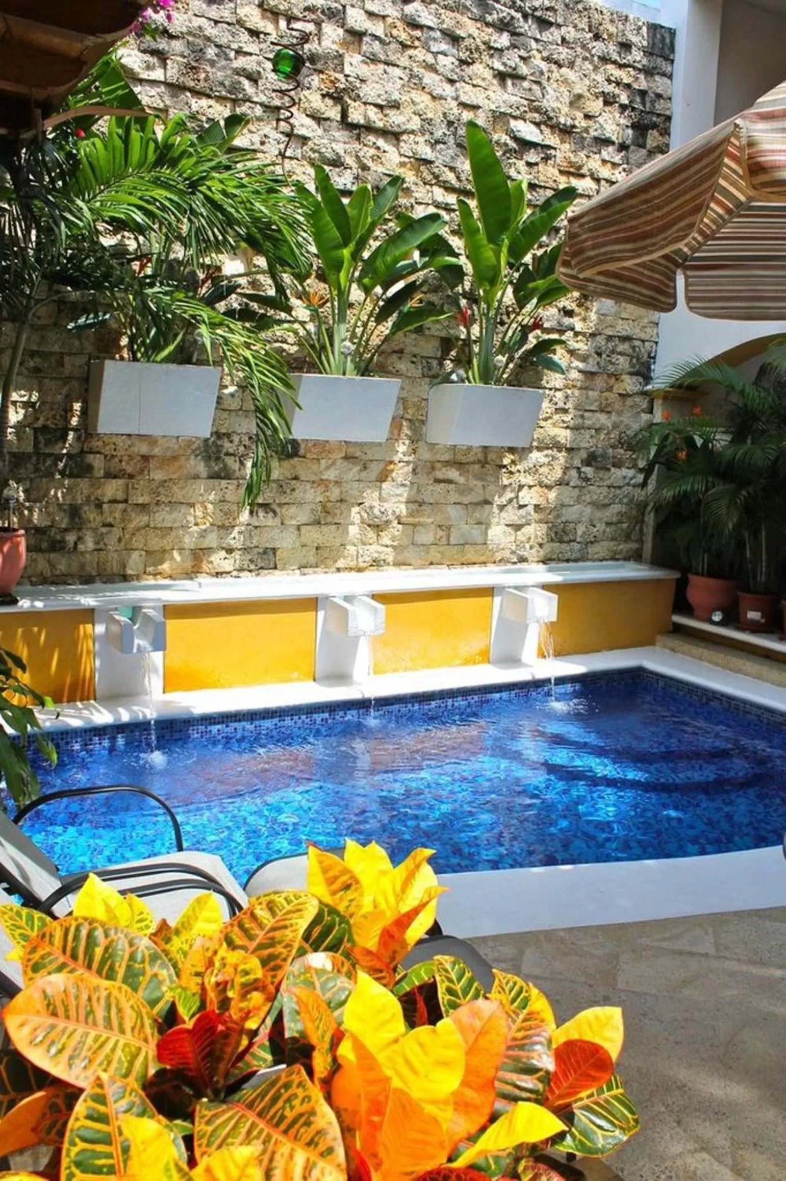 Natural landscape, Swimming Pool in Hotel Casa Gloria Boutique