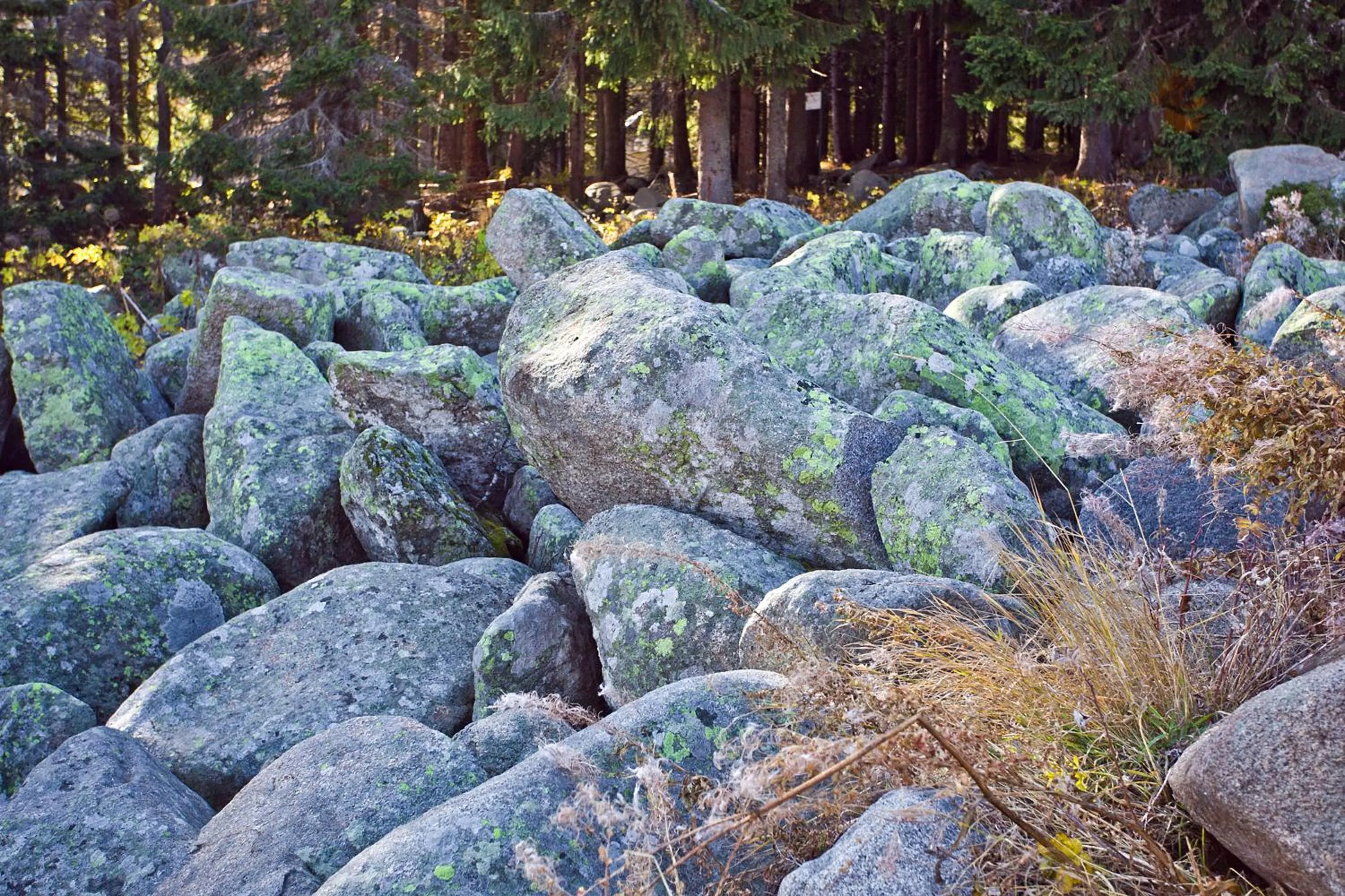 Nearby landmark in Vitoshko Lale Hotel