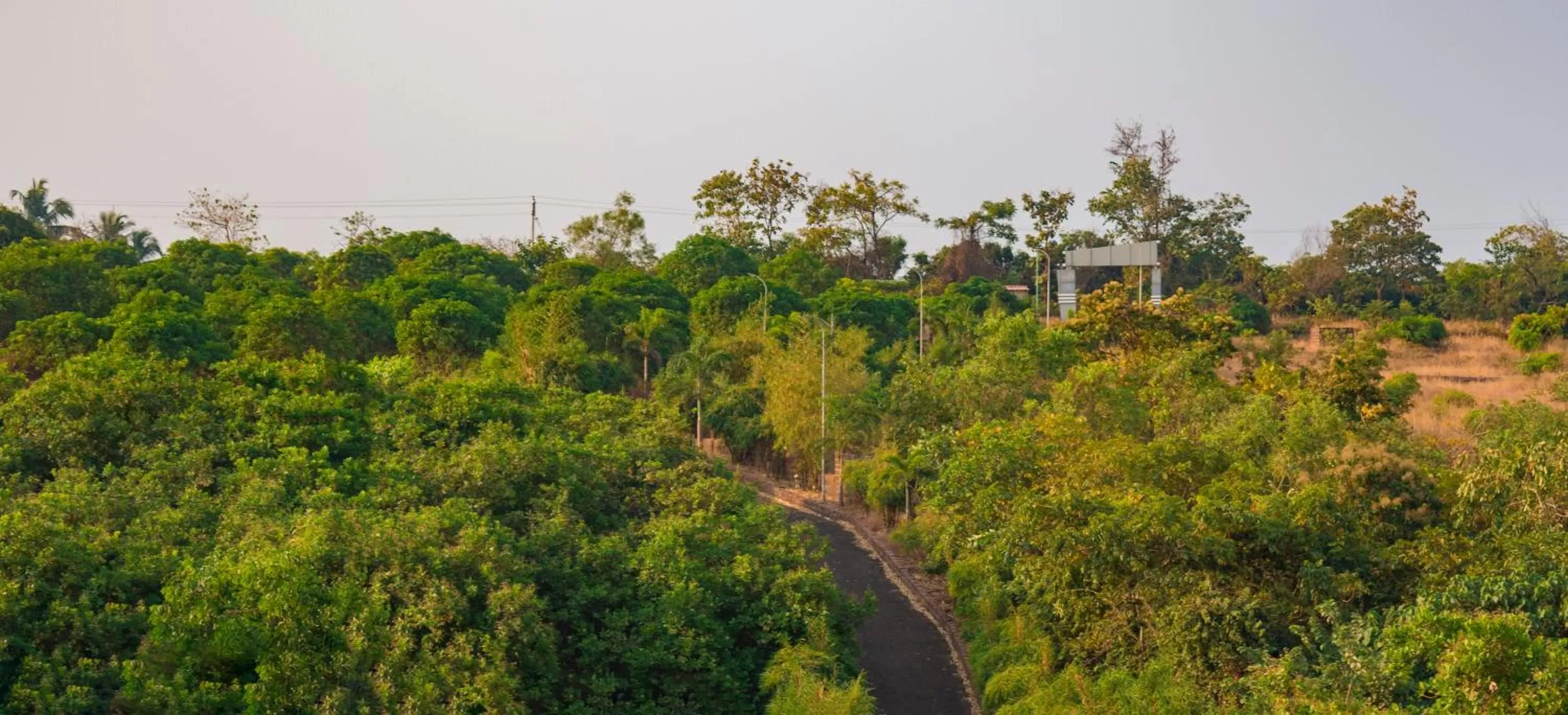 Natural landscape in Mango Valley Resort Ganpatipule