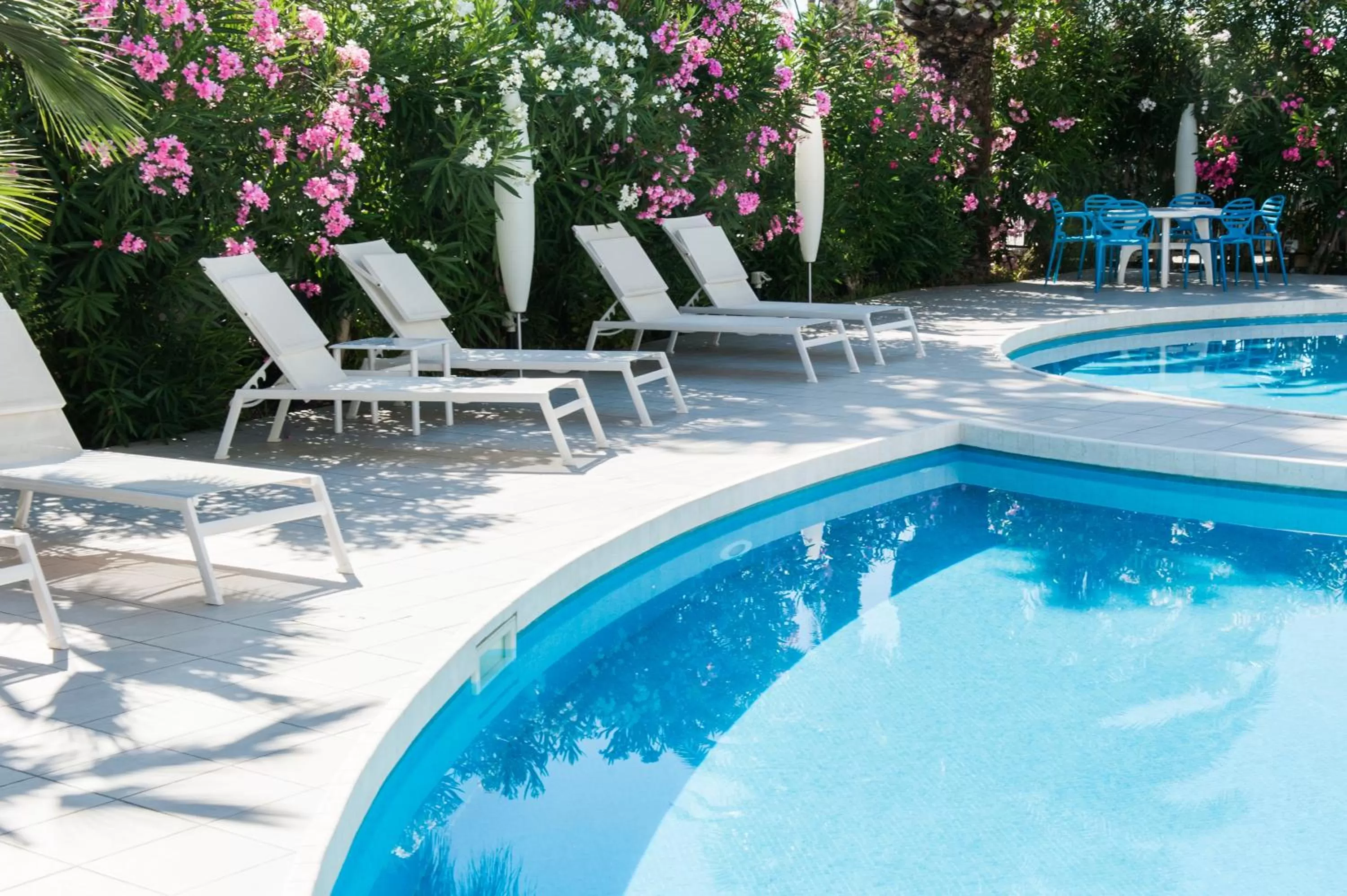 Swimming pool in Hotel International