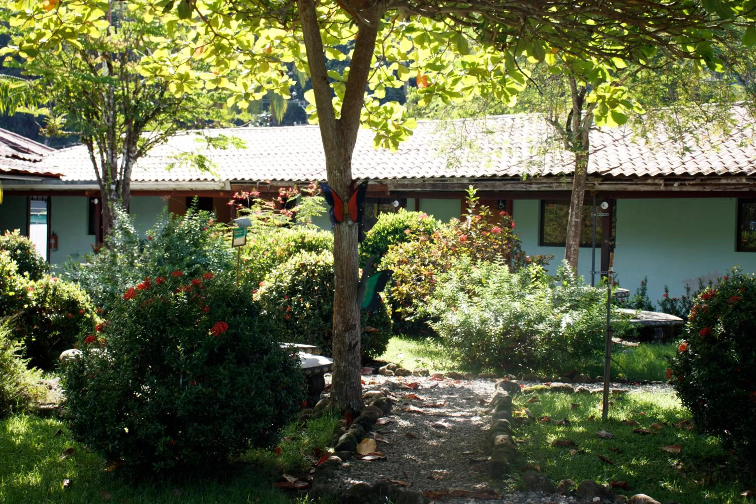 Day in Hotel Samoa del Sur