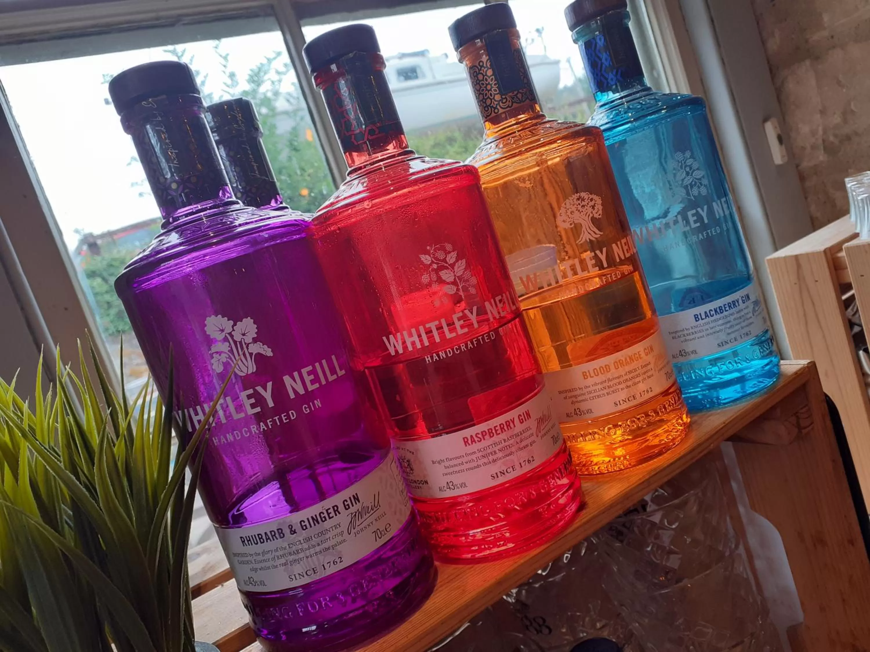 Alcoholic drinks in The Barge Inn