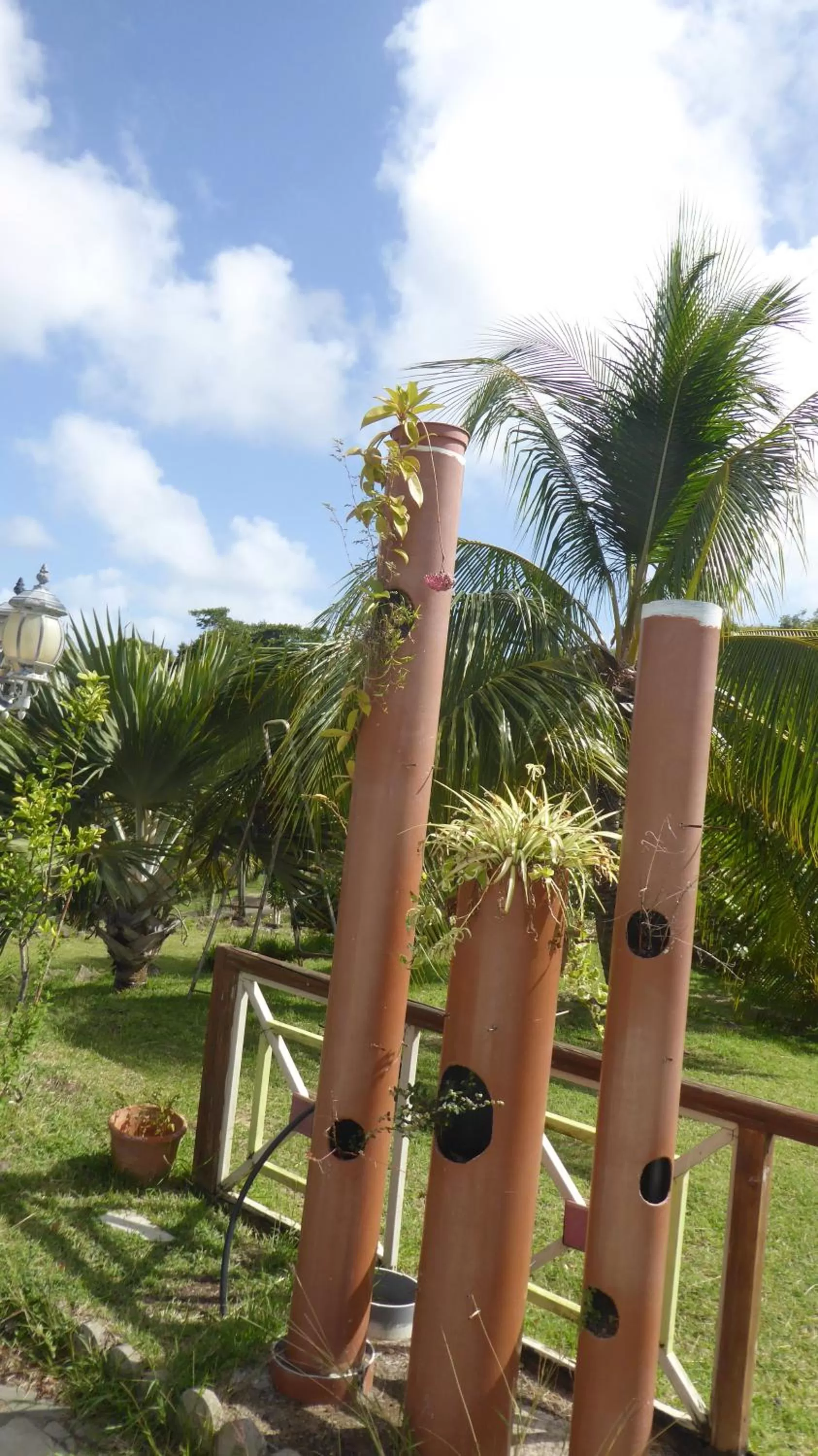 Garden in Bed and breakfast Riviere