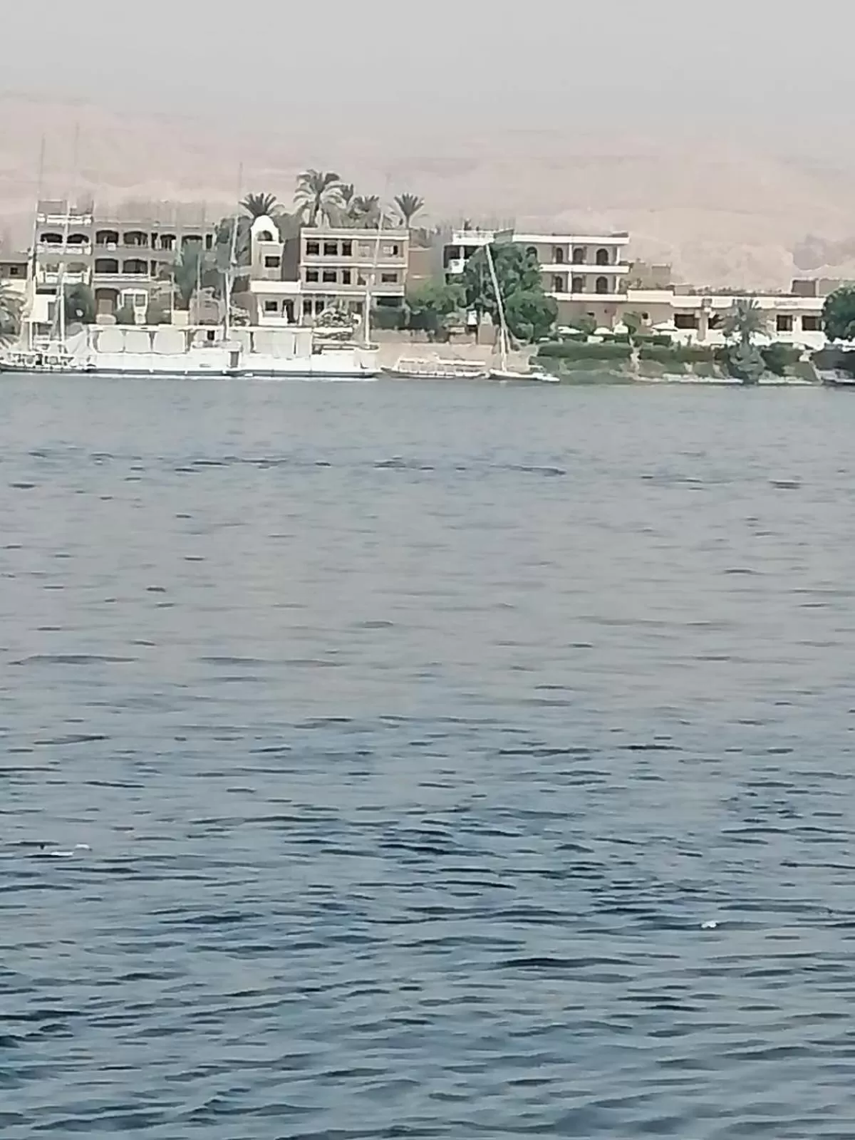 Windsor Hotel Luxor 中國人之家