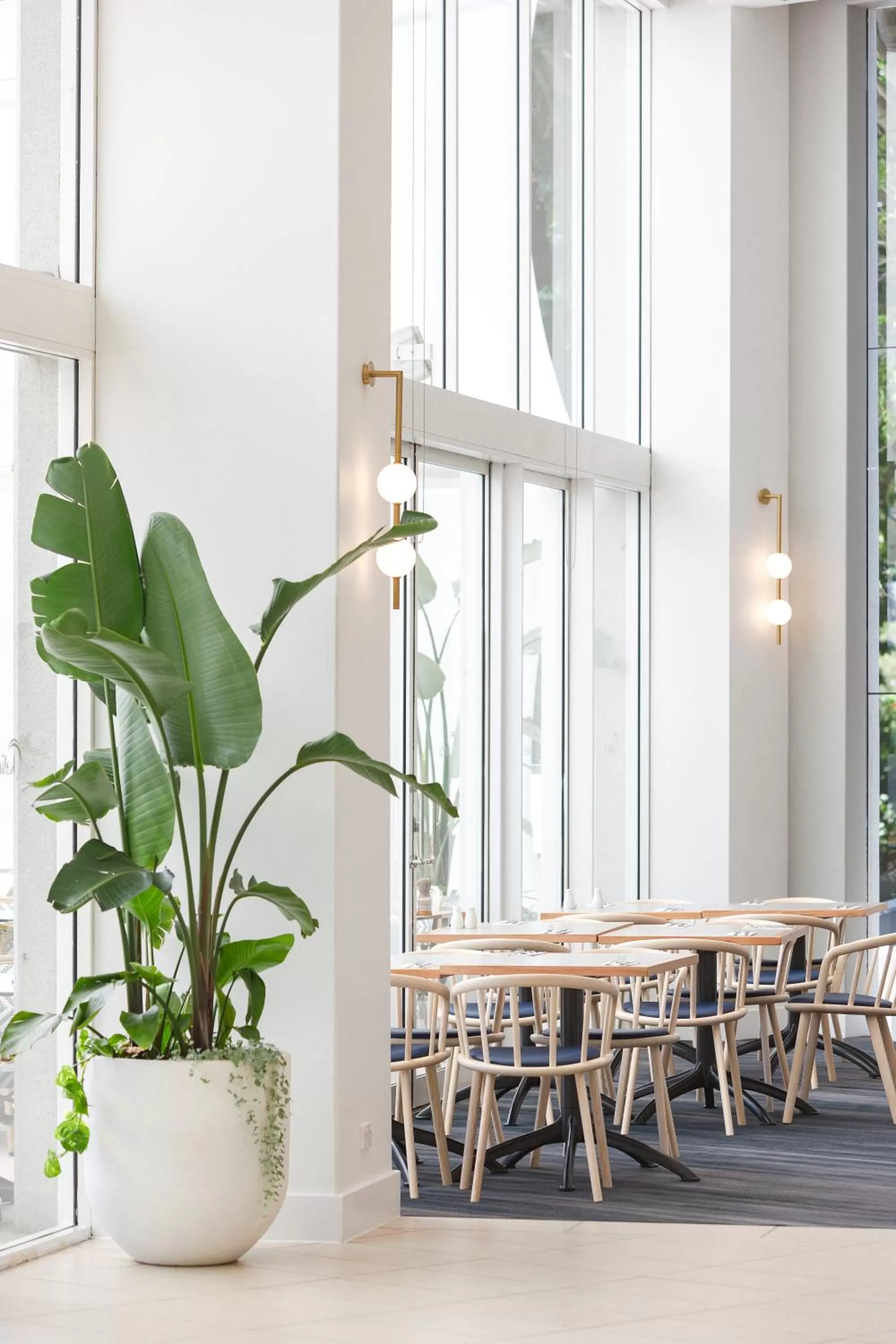 Restaurant/places to eat in RACV Royal Pines Resort Gold Coast