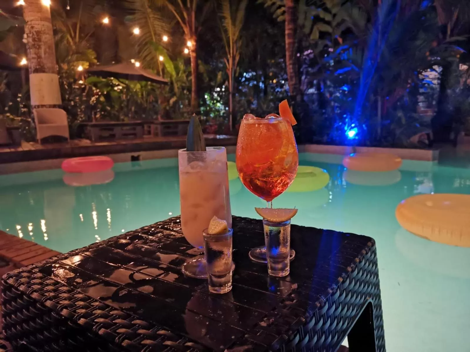 Drinks, Swimming Pool in Monkey Lodge Panama