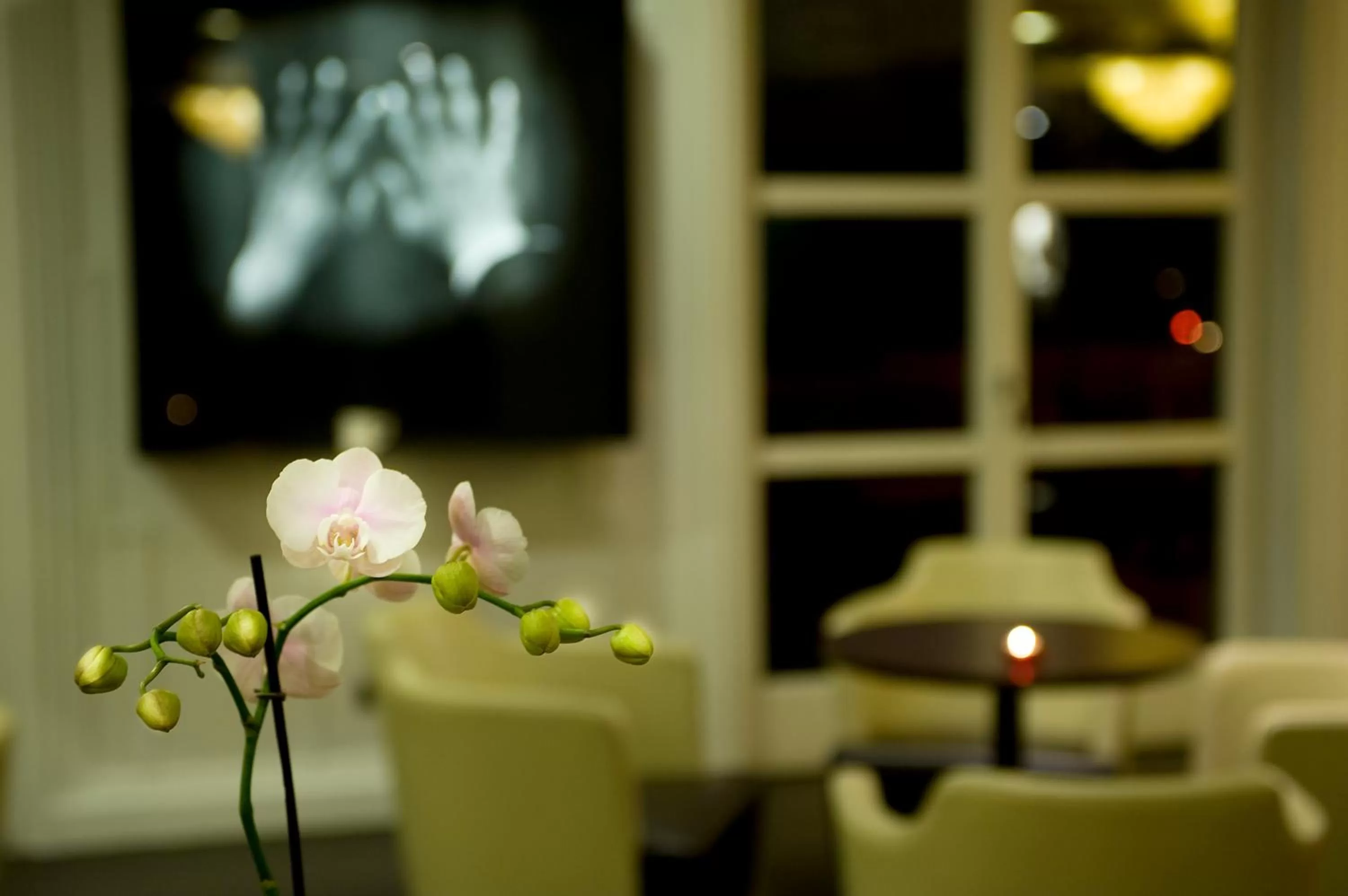 Decorative detail in Hotel Abitart