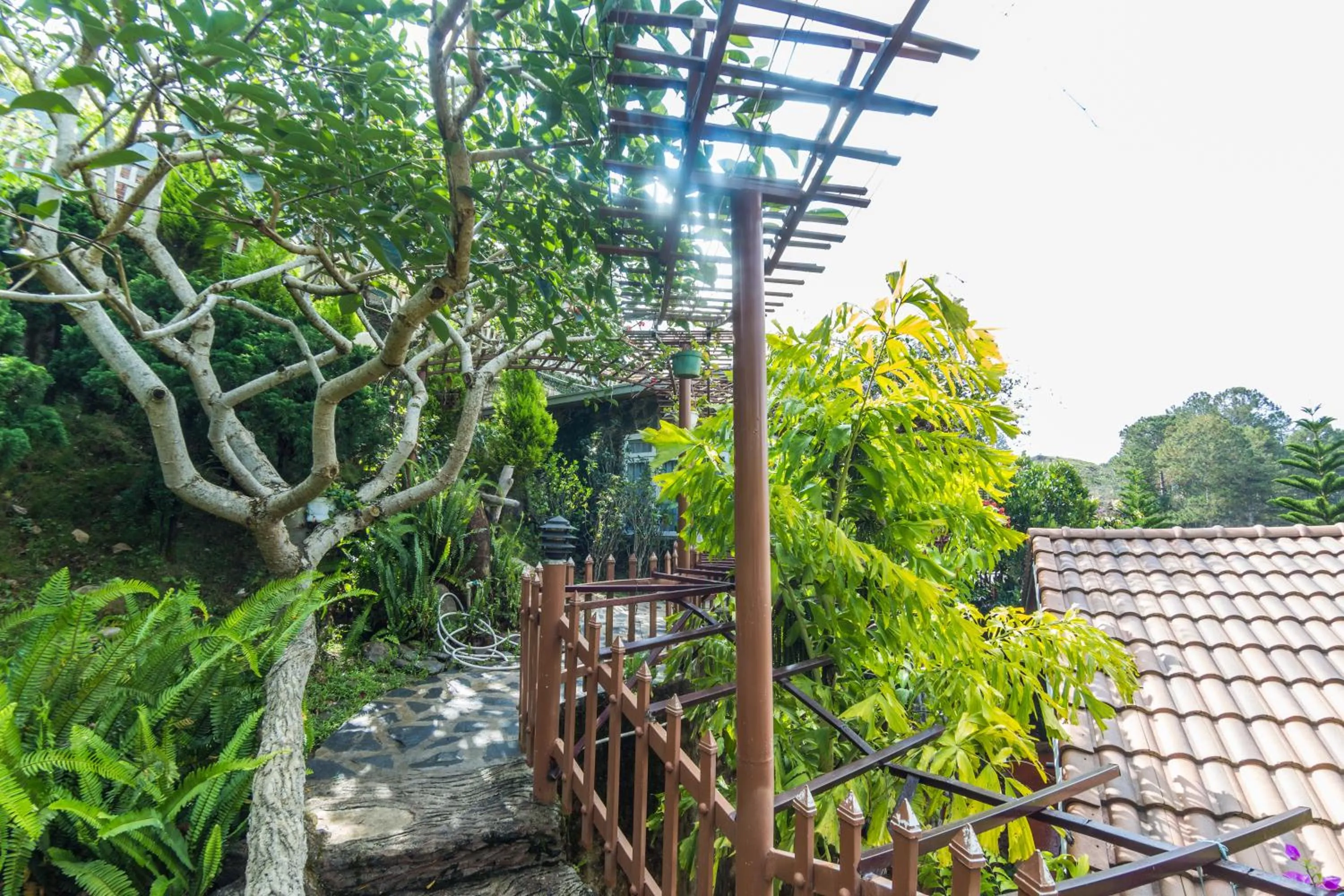 Natural landscape in Zen Valley Dalat