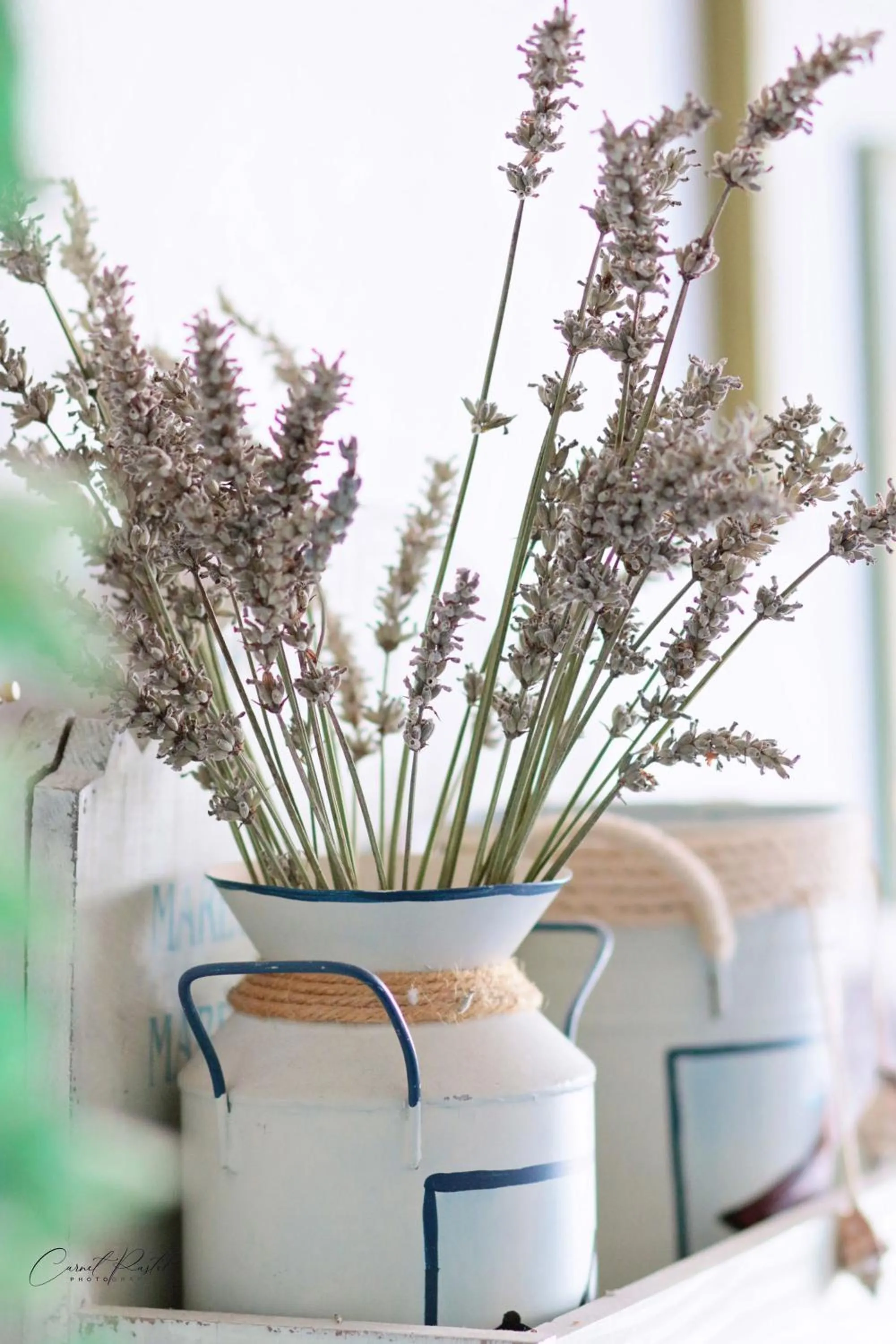 Decorative detail in Hôtel Les Embruns Sables d'Olonne