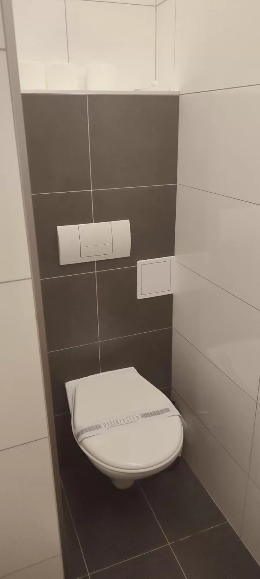 Toilet in Hotel Plzeň