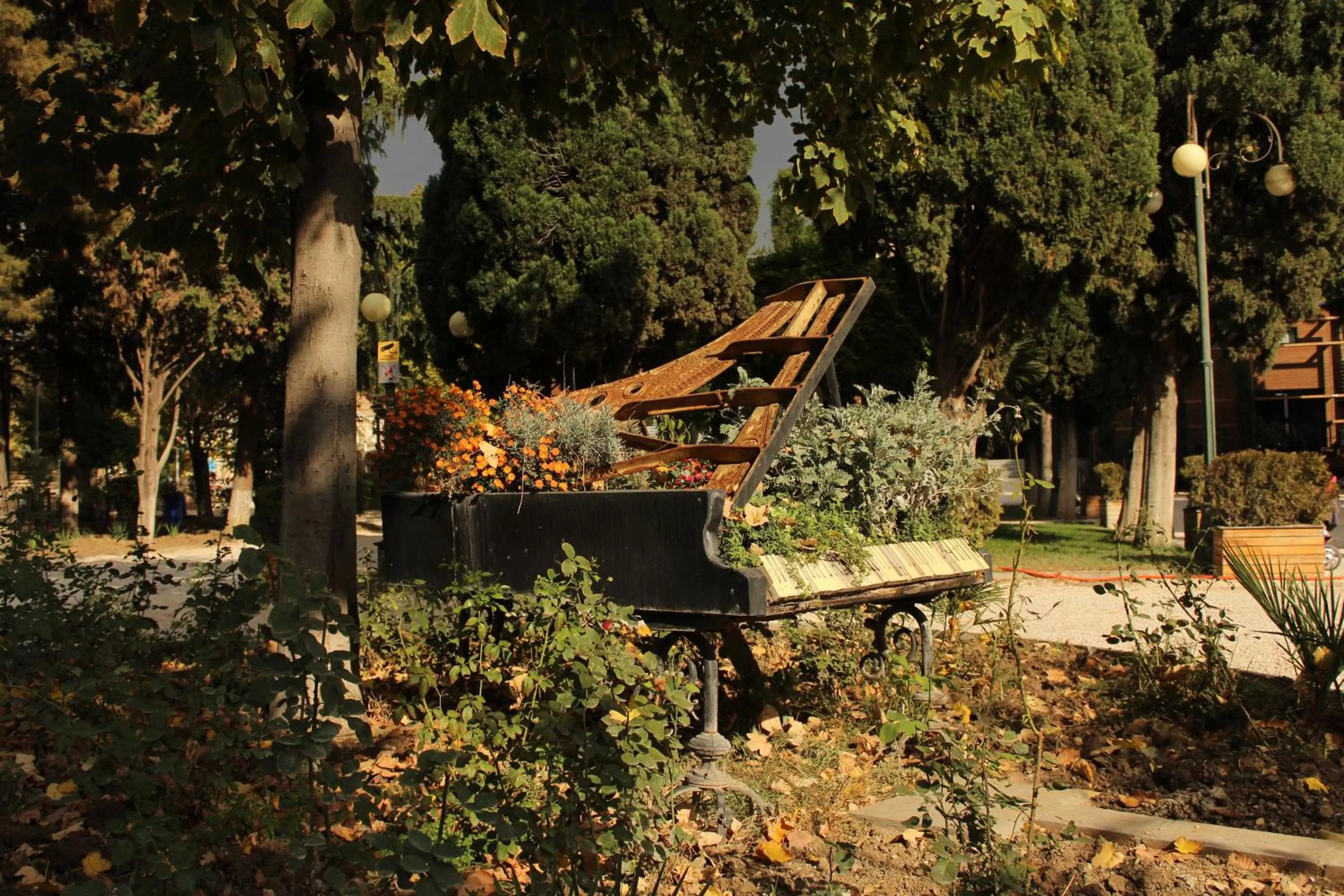 Garden in Elle Boutique Hotel