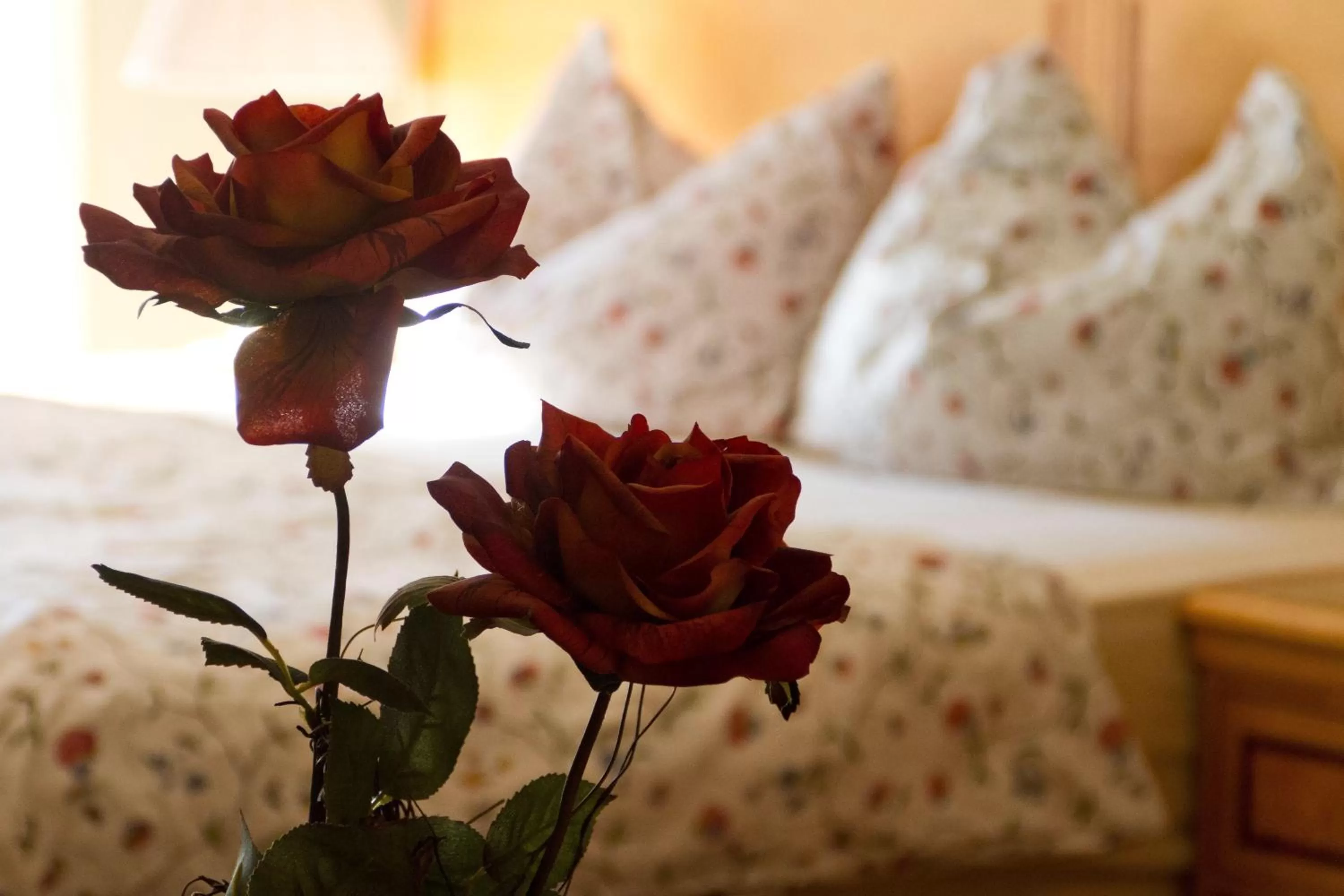 Bedroom, Bed in Hotel Cafe Frida