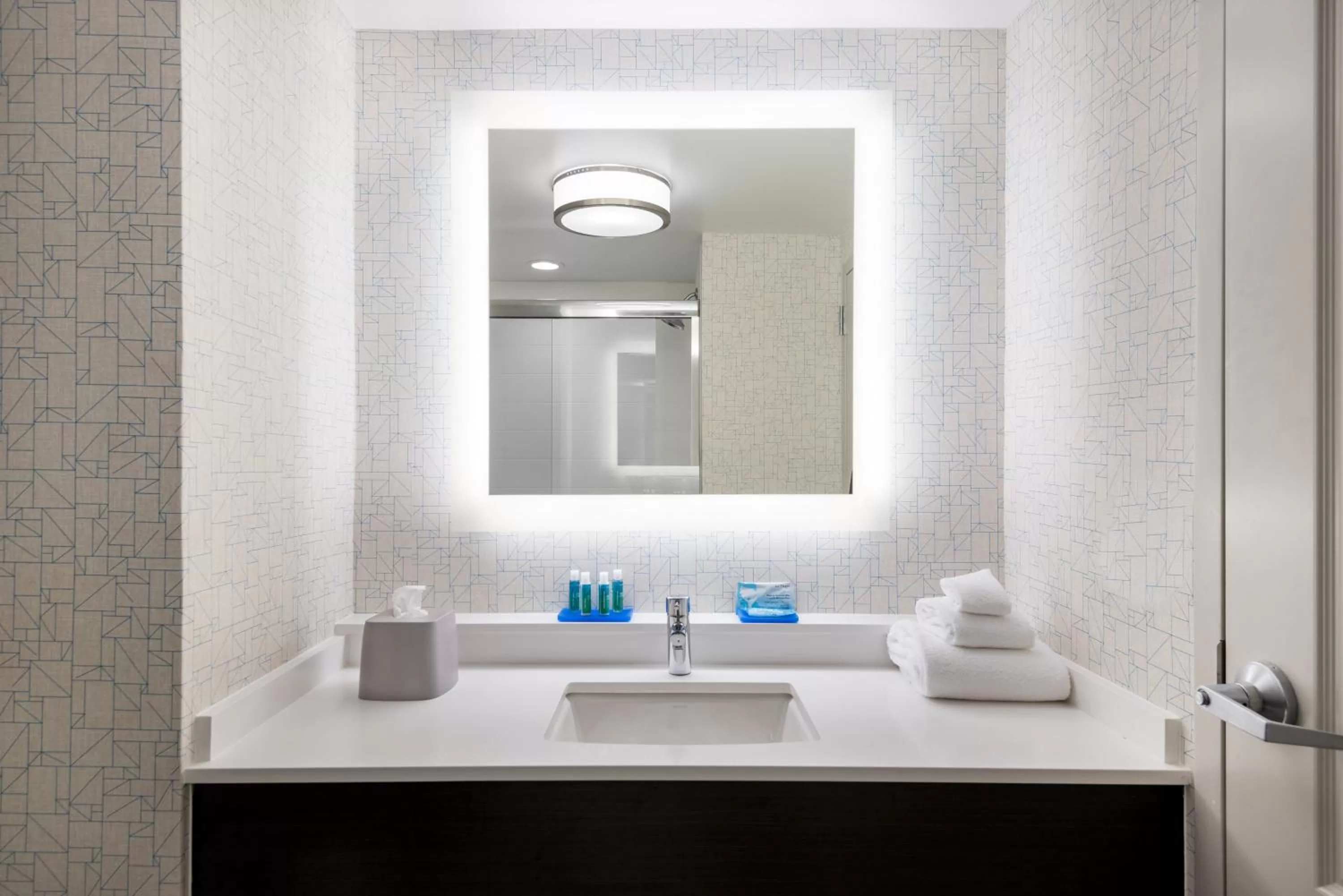 Bathroom in Holiday Inn Express & Suites Florence I-95 & I-20 Civic Ctr by IHG